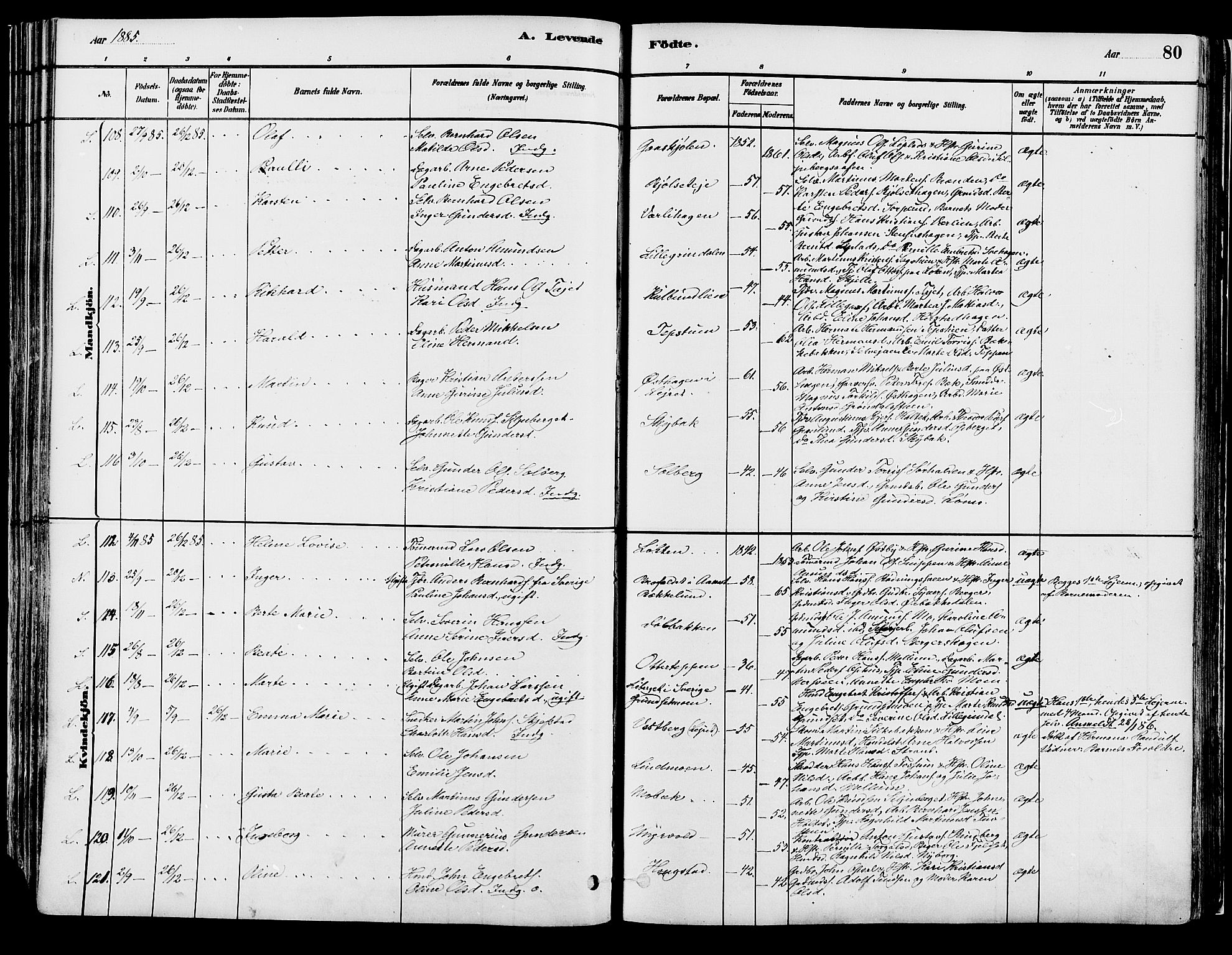 Elverum prestekontor, AV/SAH-PREST-044/H/Ha/Haa/L0013: Parish register (official) no. 13, 1880-1890, p. 80