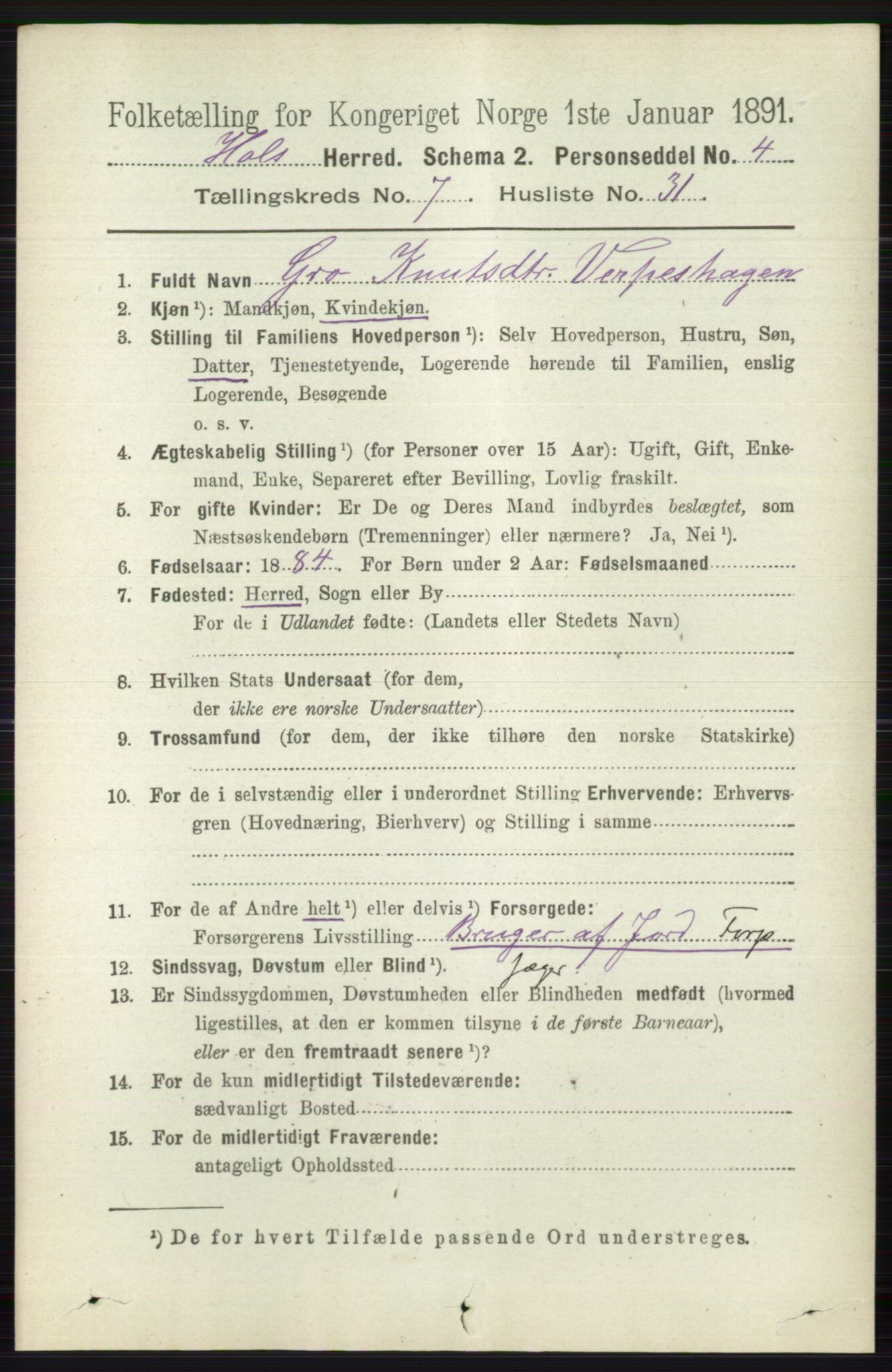 RA, 1891 census for 0620 Hol, 1891, p. 2200