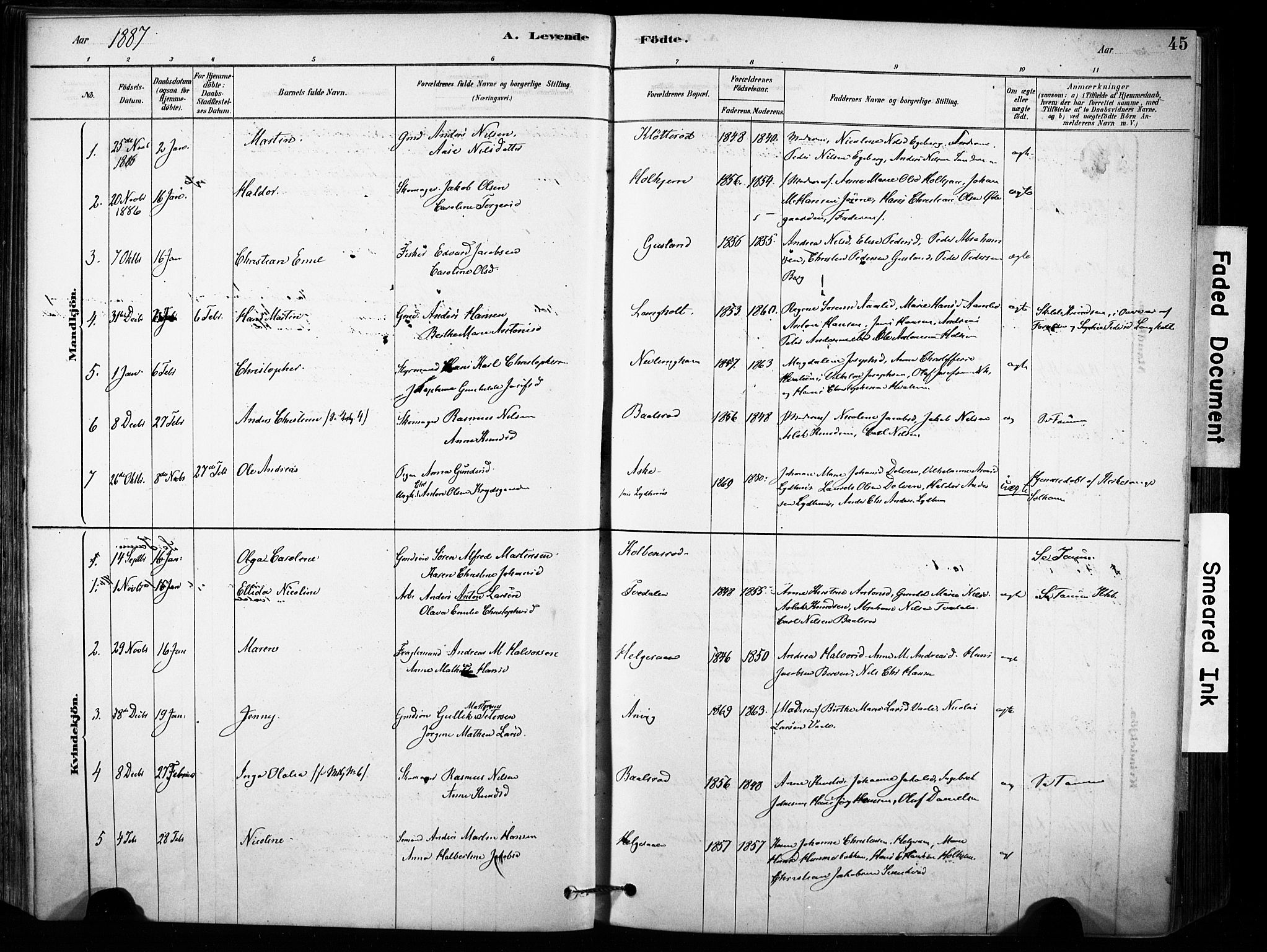 Brunlanes kirkebøker, AV/SAKO-A-342/F/Fb/L0001: Parish register (official) no. II 1, 1878-1899, p. 45