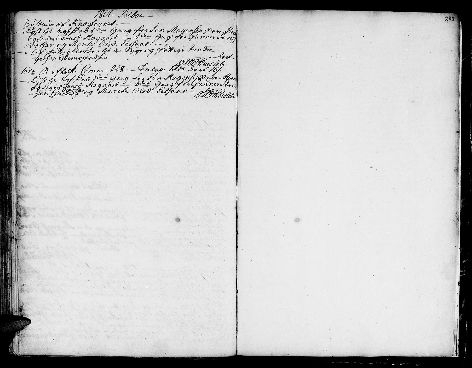 Ministerialprotokoller, klokkerbøker og fødselsregistre - Sør-Trøndelag, SAT/A-1456/695/L1138: Parish register (official) no. 695A02 /1, 1757-1801, p. 283
