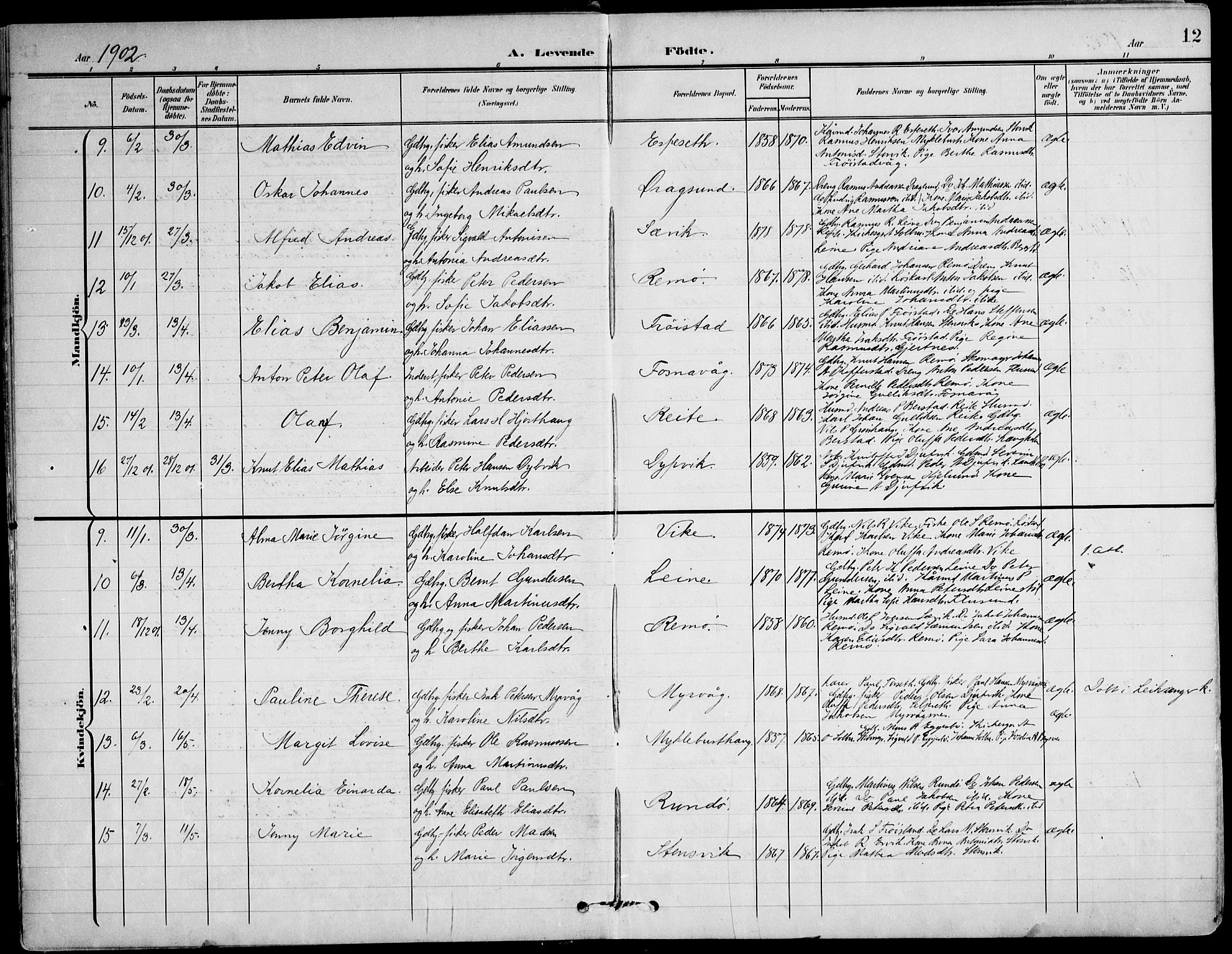 Ministerialprotokoller, klokkerbøker og fødselsregistre - Møre og Romsdal, SAT/A-1454/507/L0075: Parish register (official) no. 507A10, 1901-1920, p. 12