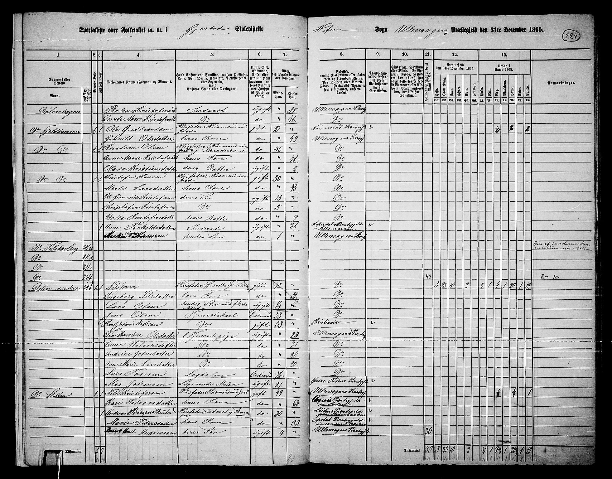 RA, 1865 census for Ullensaker, 1865, p. 199