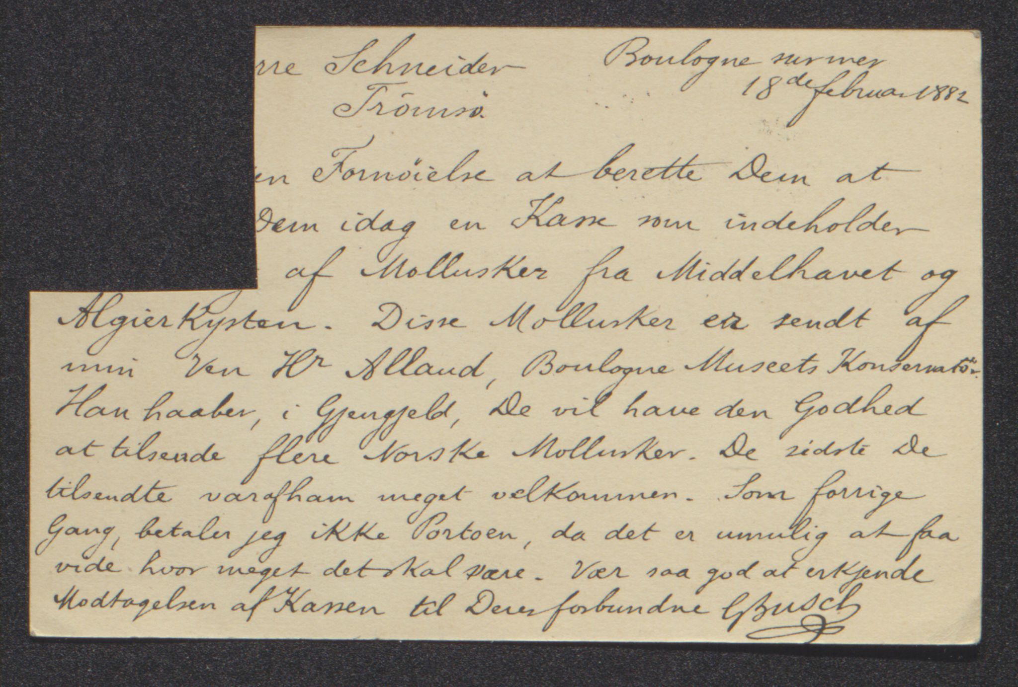 Tromsø Museum, AV/SATØ-S-0162/D/Db/L0033: Journalsaker og innkomne brev, 1879-1882, p. 471