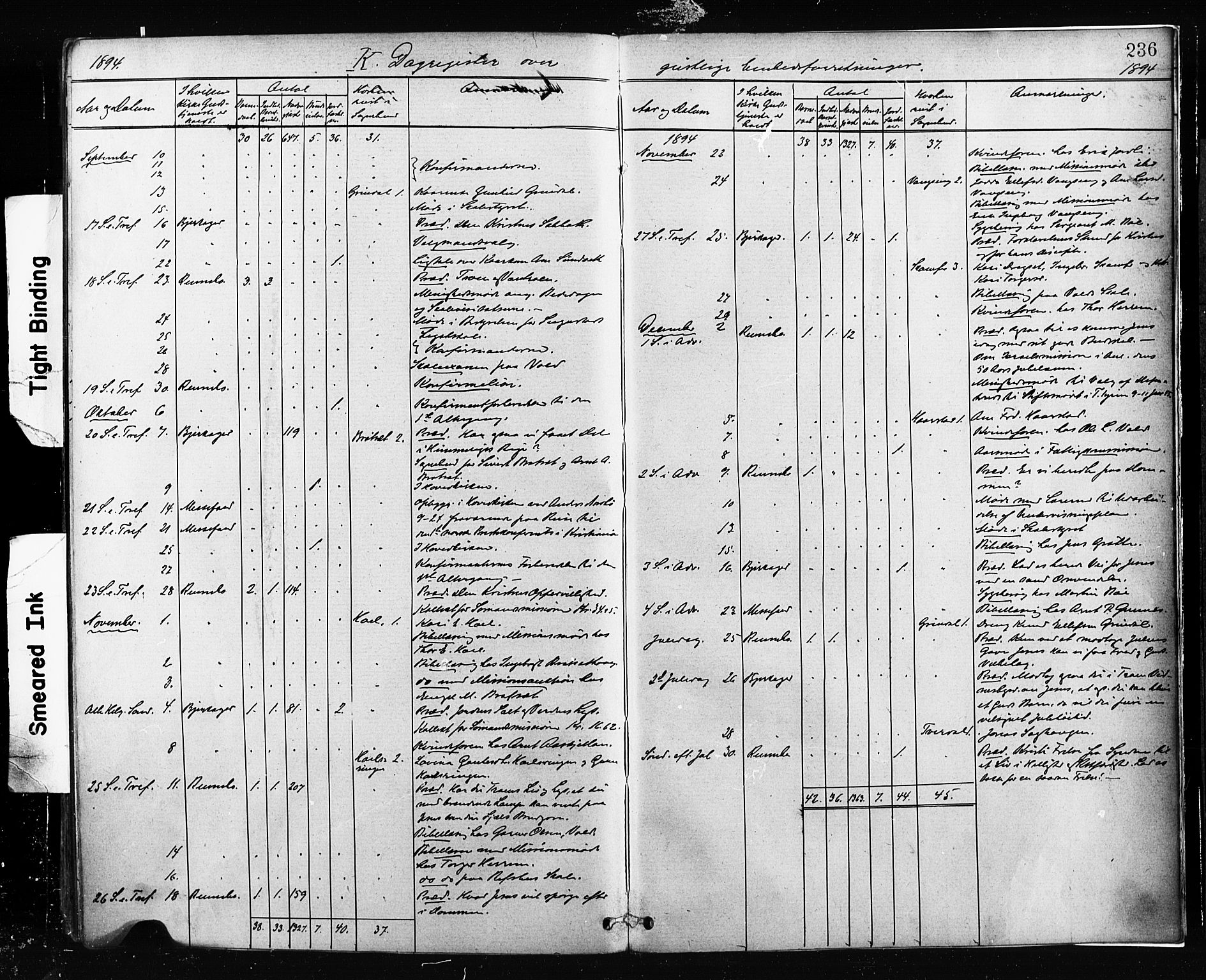 Ministerialprotokoller, klokkerbøker og fødselsregistre - Sør-Trøndelag, AV/SAT-A-1456/674/L0871: Parish register (official) no. 674A03, 1880-1896, p. 236