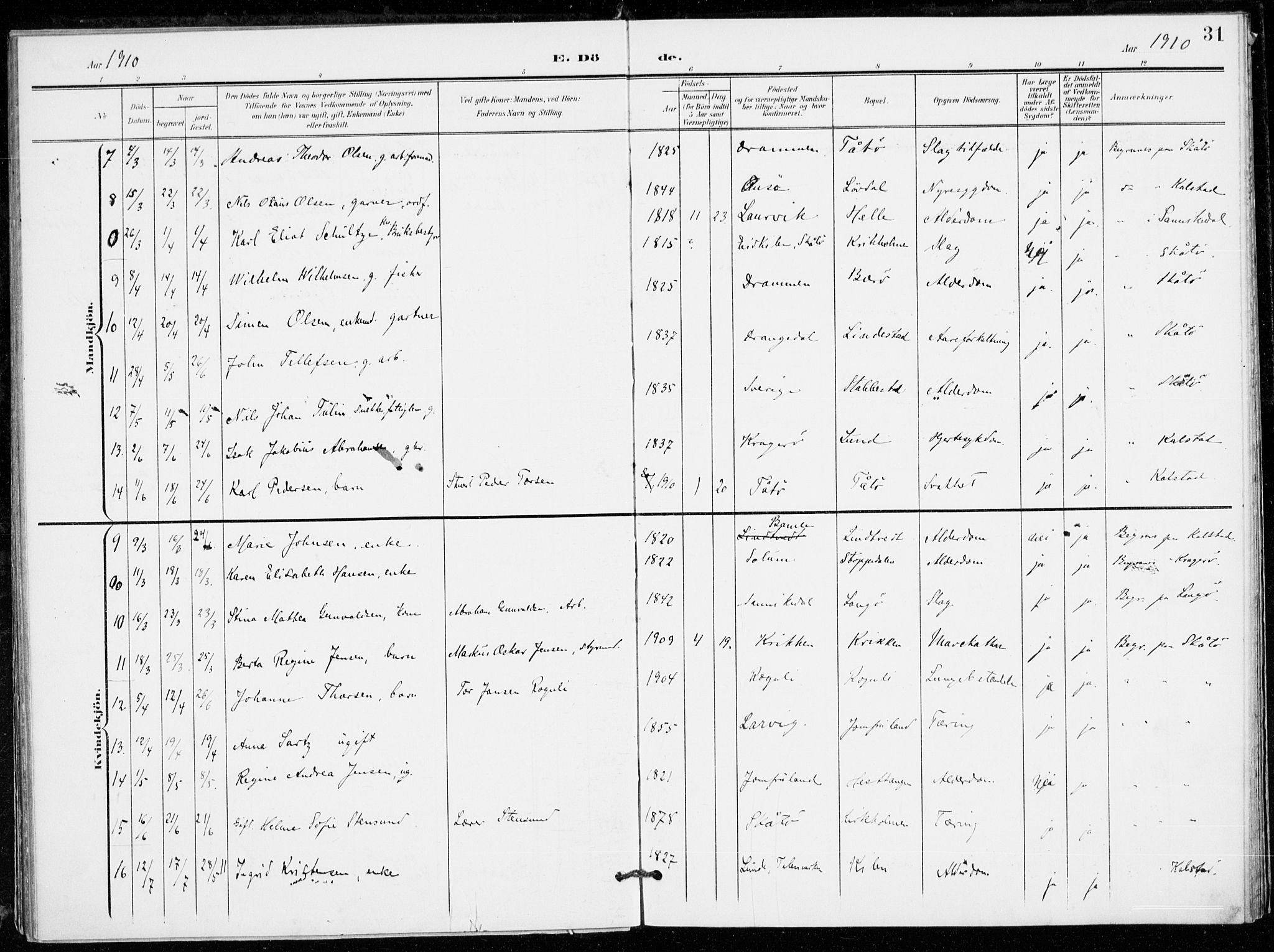 Skåtøy kirkebøker, AV/SAKO-A-304/F/Fa/L0005: Parish register (official) no. I 5, 1901-1923, p. 31