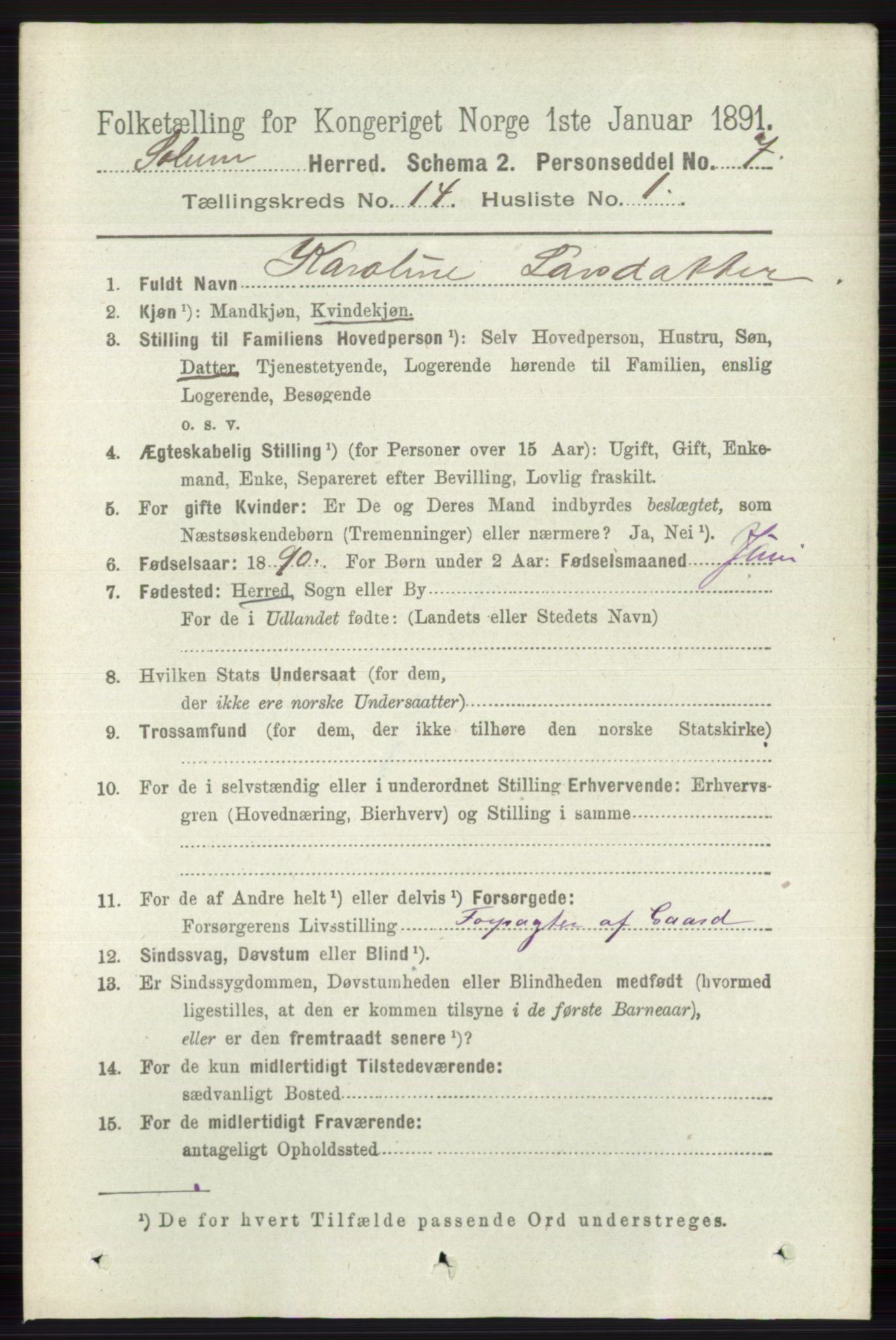 RA, 1891 census for 0818 Solum, 1891, p. 6367