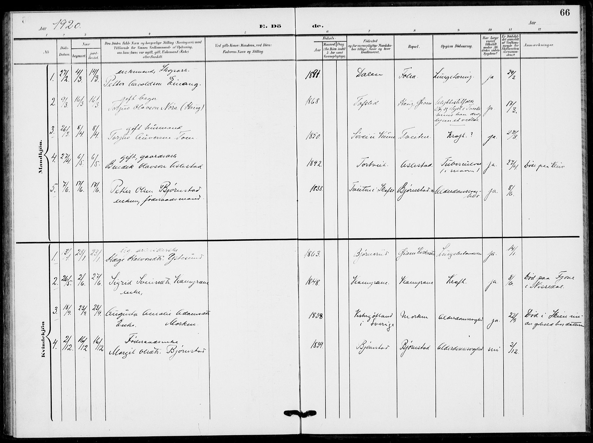 Fyresdal kirkebøker, SAKO/A-263/F/Fb/L0004: Parish register (official) no. II 4, 1903-1920, p. 66