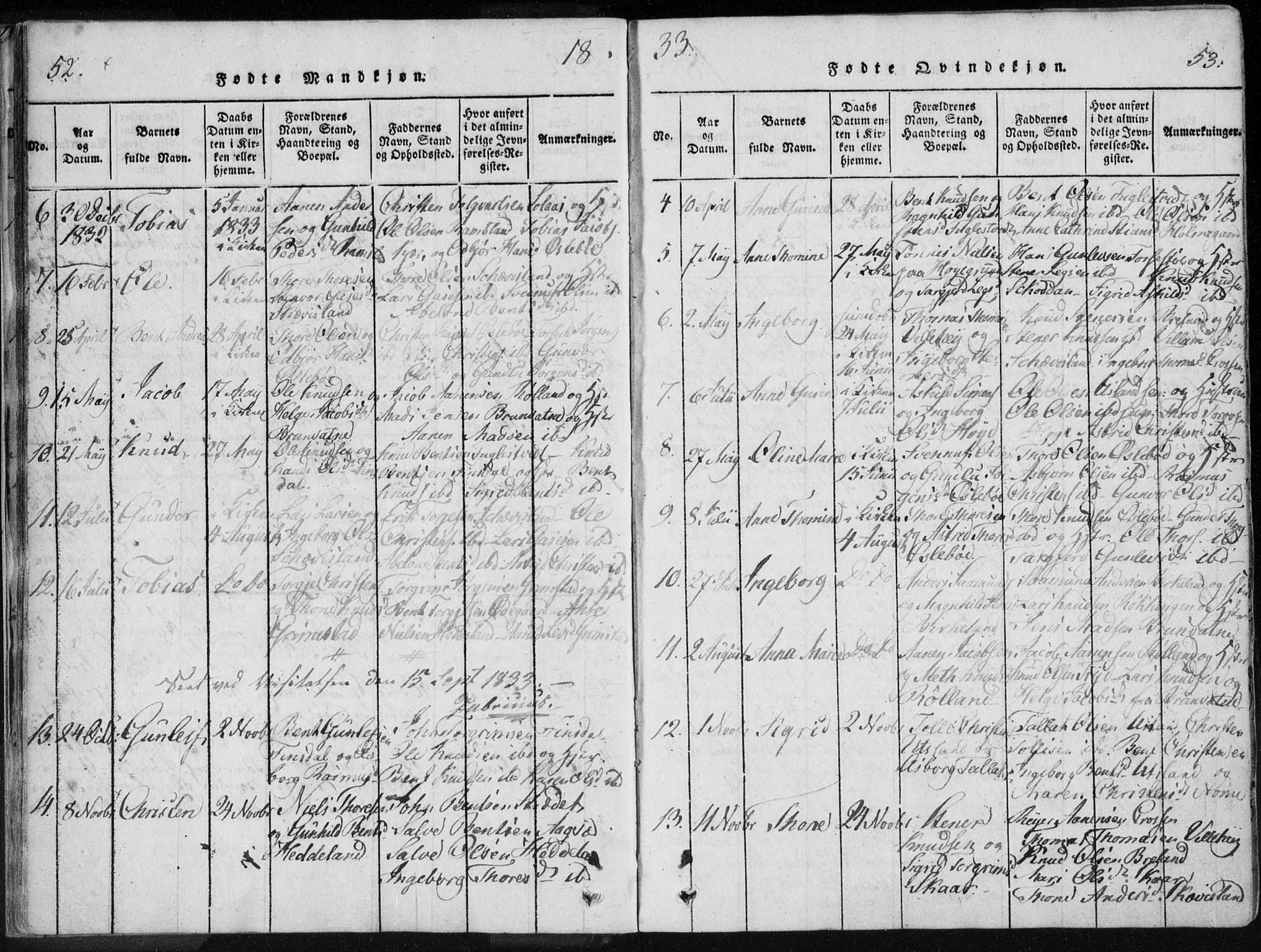 Holum sokneprestkontor, AV/SAK-1111-0022/F/Fa/Fac/L0002: Parish register (official) no. A 2, 1821-1859, p. 52-53