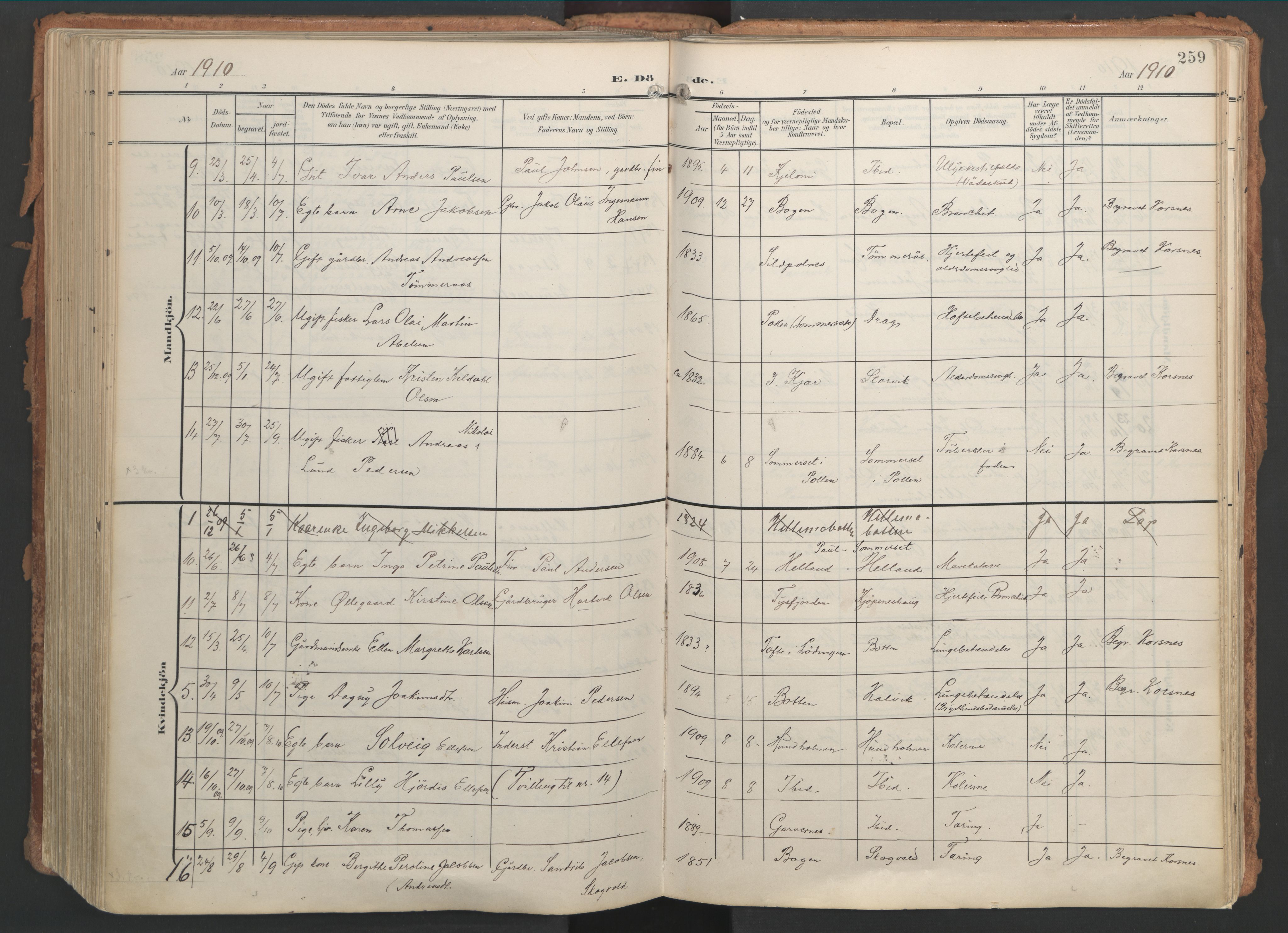 Ministerialprotokoller, klokkerbøker og fødselsregistre - Nordland, AV/SAT-A-1459/861/L0871: Parish register (official) no. 861A06, 1903-1916, p. 259
