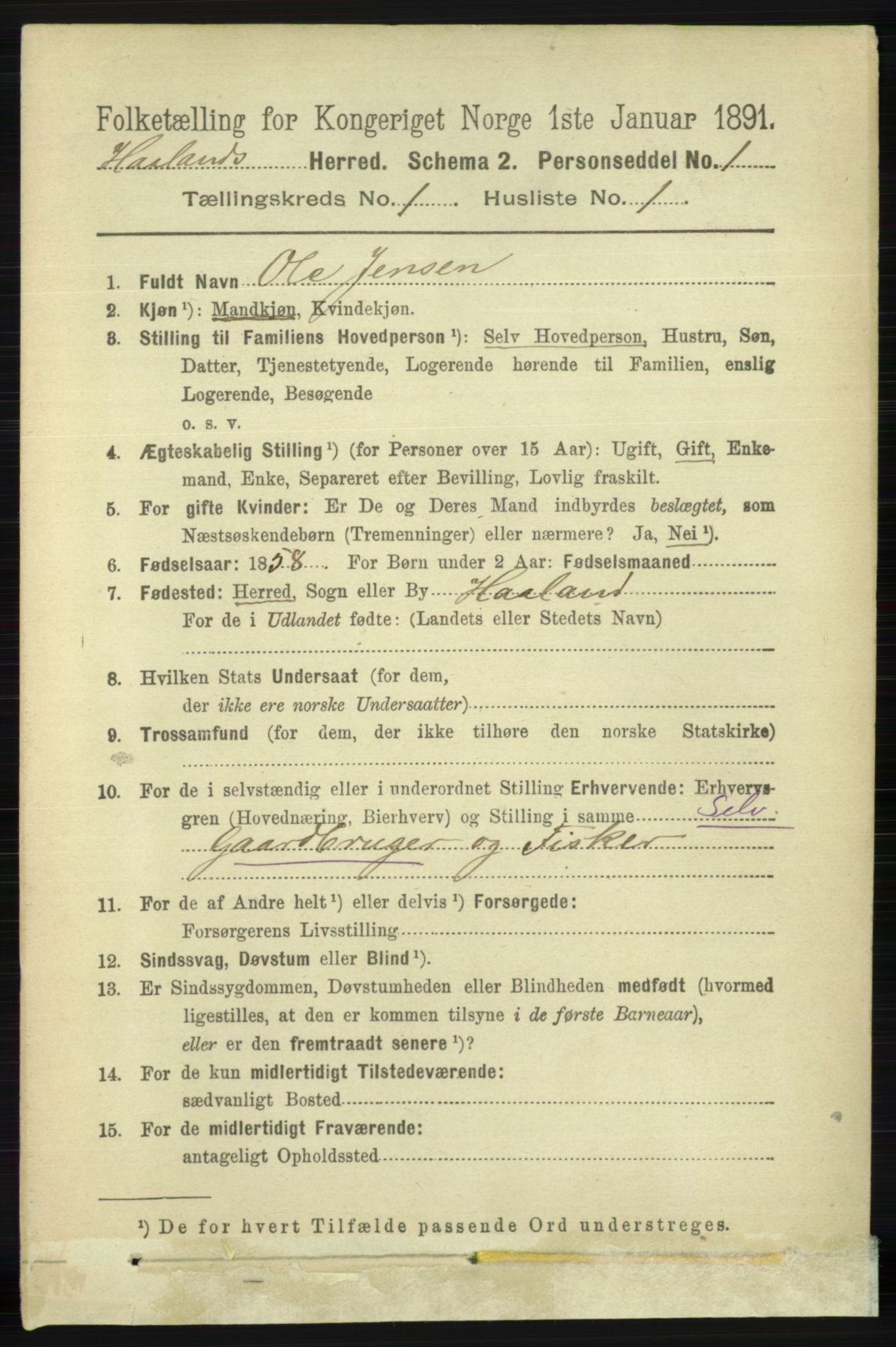 RA, 1891 census for 1124 Haaland, 1891, p. 131