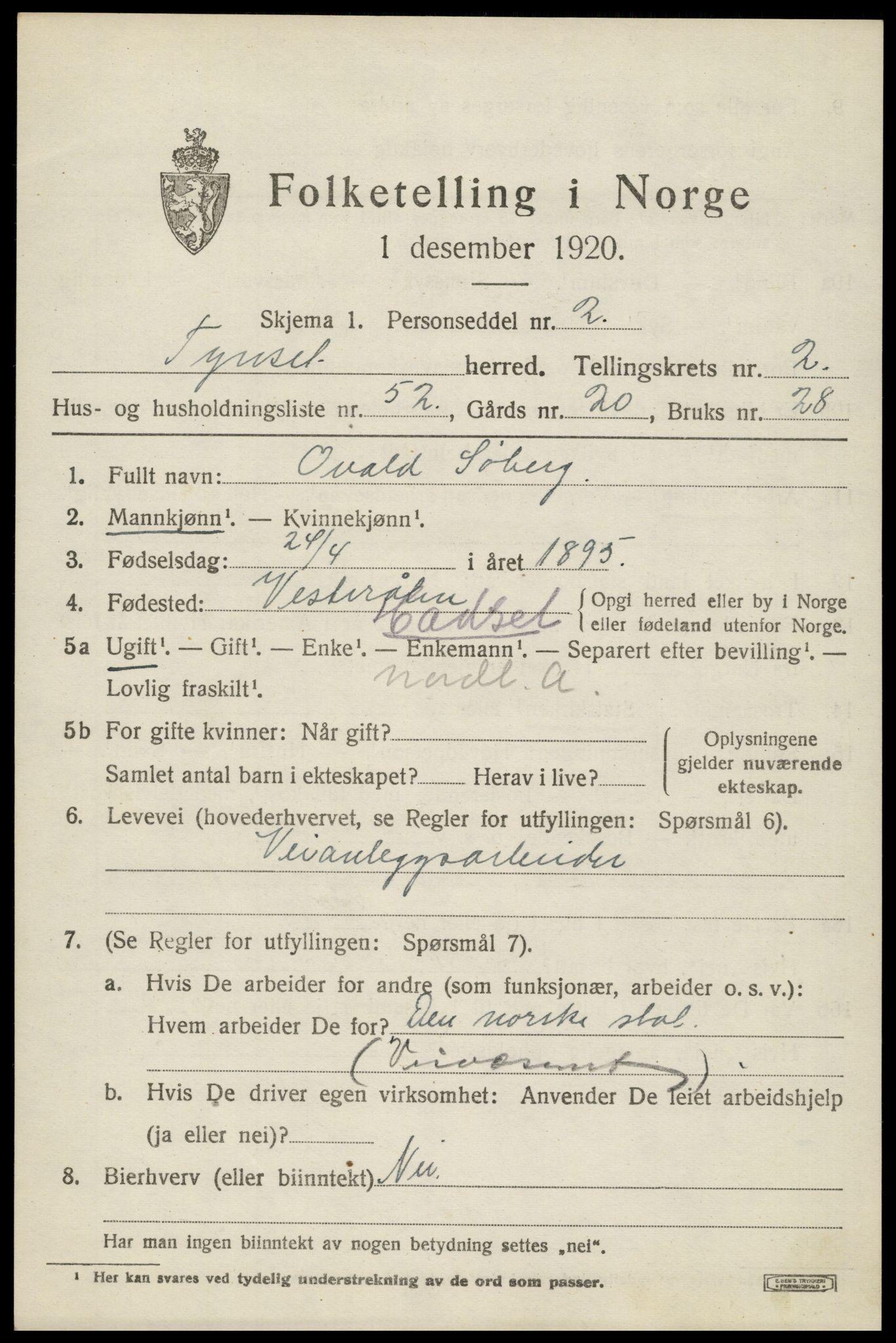 SAH, 1920 census for Tynset, 1920, p. 2894