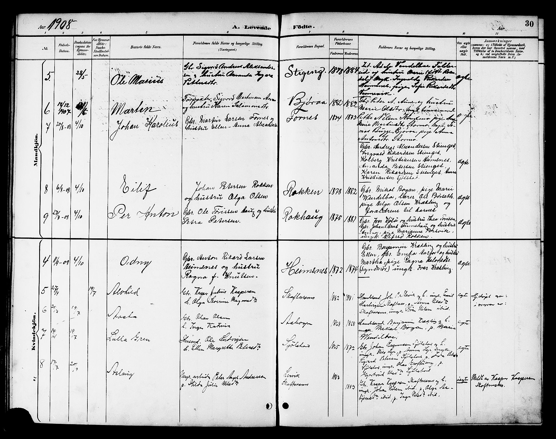 Ministerialprotokoller, klokkerbøker og fødselsregistre - Nord-Trøndelag, SAT/A-1458/783/L0662: Parish register (copy) no. 783C02, 1894-1919, p. 30