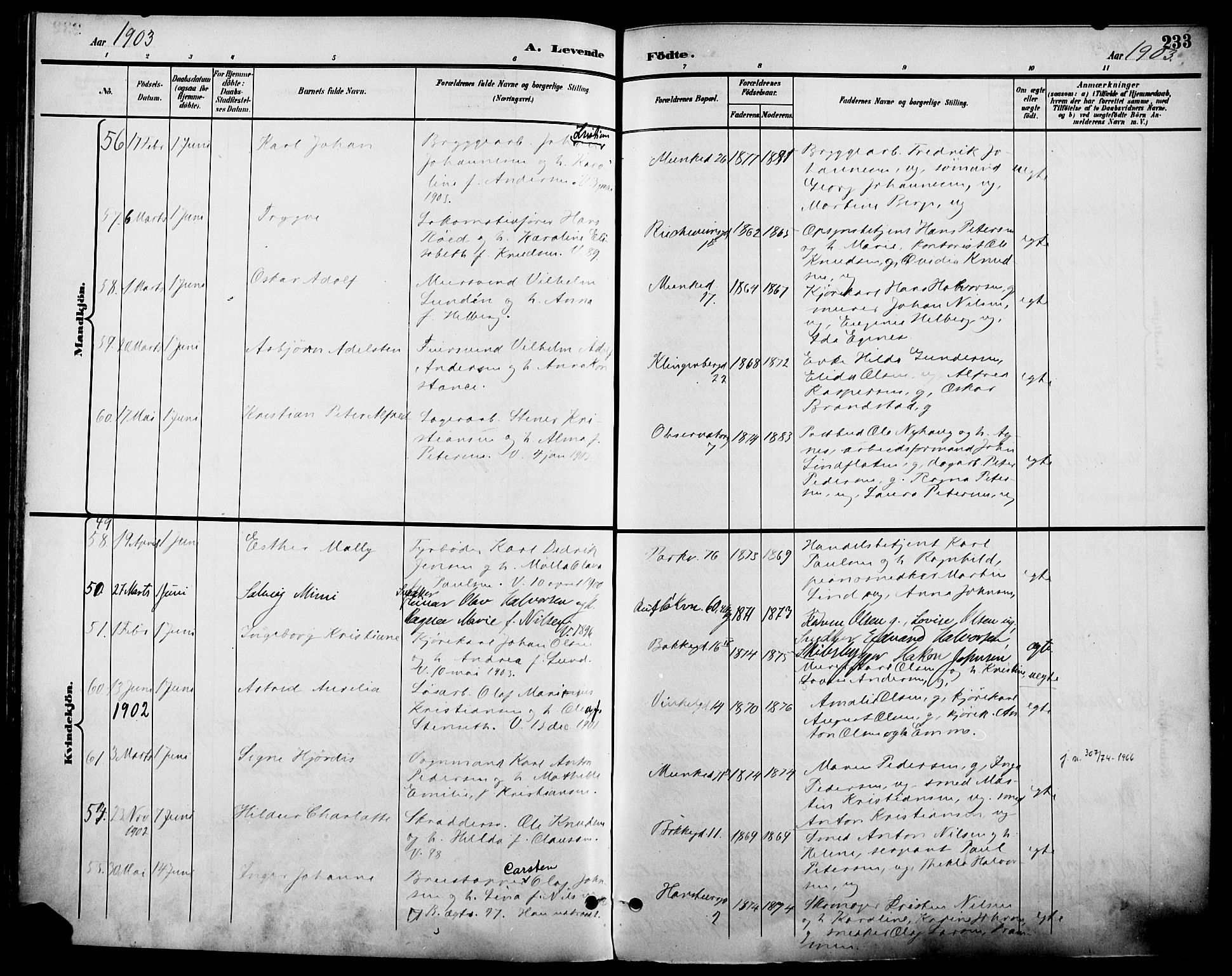 Johannes prestekontor Kirkebøker, SAO/A-10852/F/Fa/L0007: Parish register (official) no. 7, 1896-1905, p. 233
