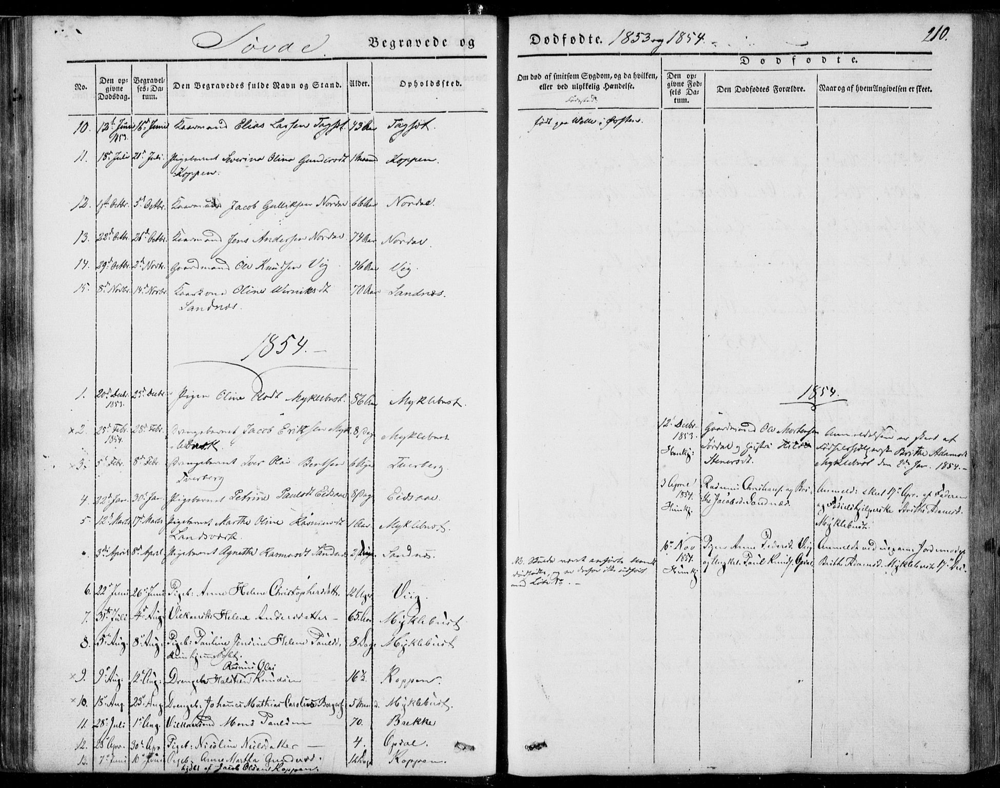 Ministerialprotokoller, klokkerbøker og fødselsregistre - Møre og Romsdal, AV/SAT-A-1454/502/L0023: Parish register (official) no. 502A01, 1844-1873, p. 210