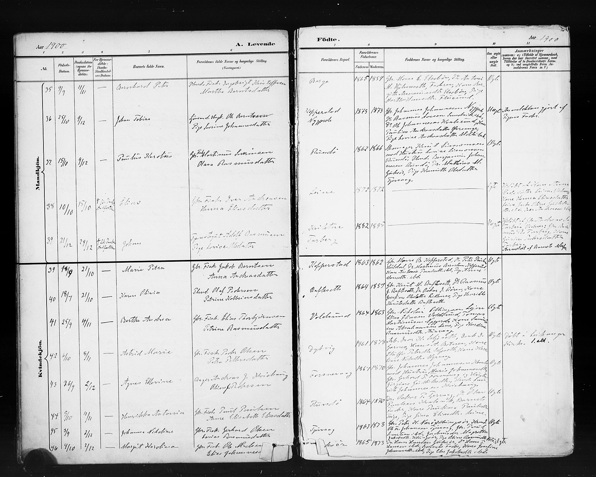 Ministerialprotokoller, klokkerbøker og fødselsregistre - Møre og Romsdal, AV/SAT-A-1454/507/L0074: Parish register (official) no. 507A09, 1894-1900, p. 20