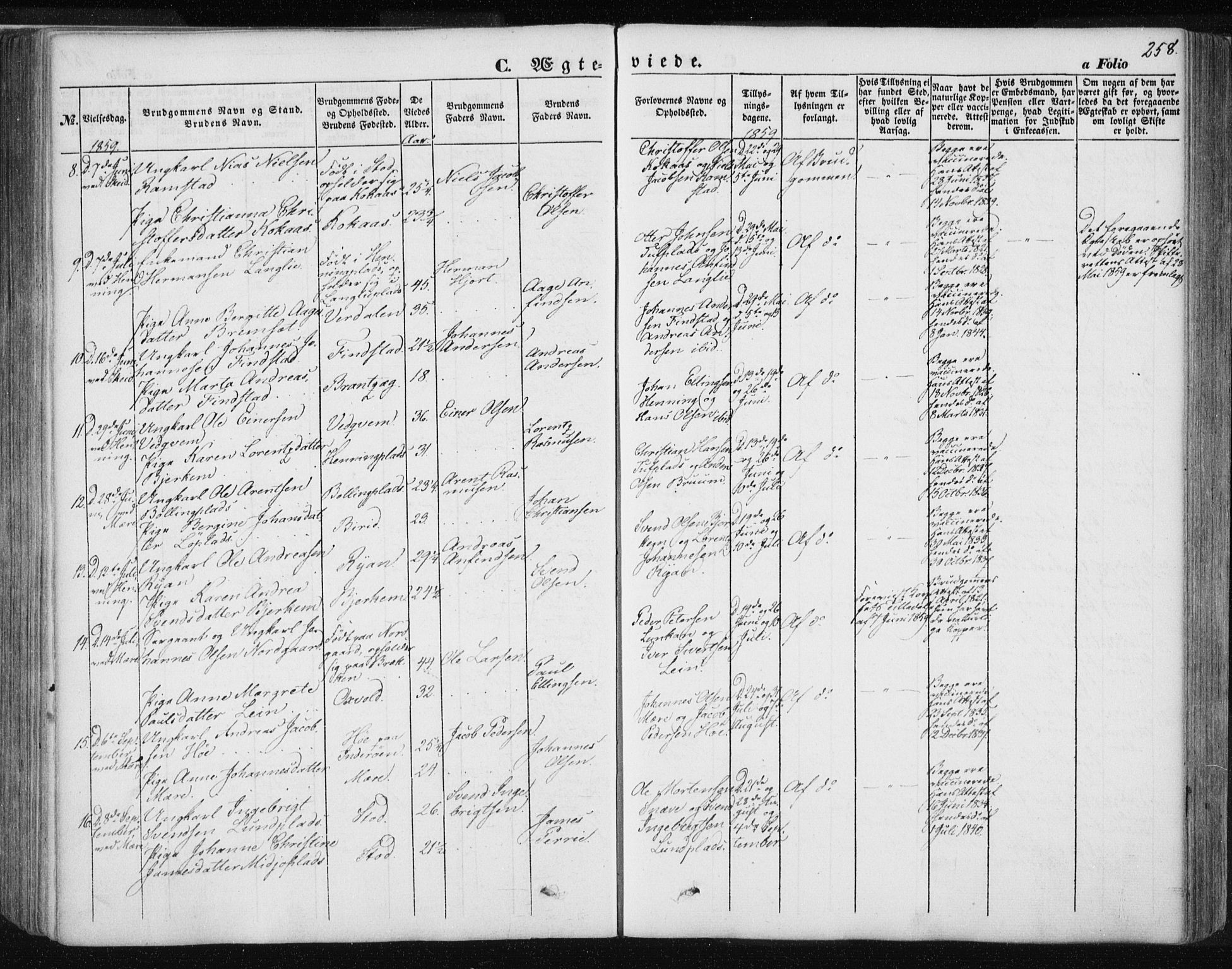 Ministerialprotokoller, klokkerbøker og fødselsregistre - Nord-Trøndelag, SAT/A-1458/735/L0342: Parish register (official) no. 735A07 /1, 1849-1862, p. 258