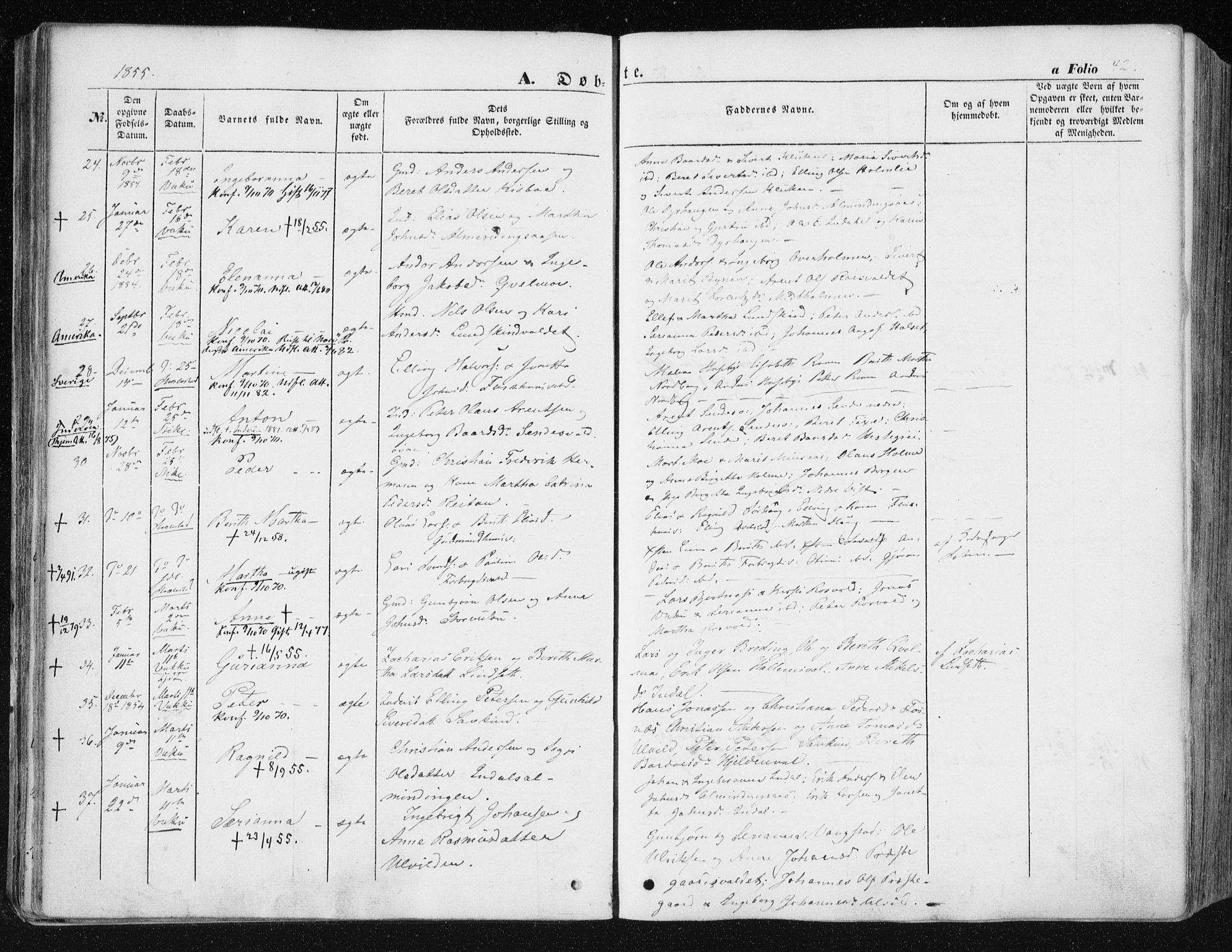 Ministerialprotokoller, klokkerbøker og fødselsregistre - Nord-Trøndelag, AV/SAT-A-1458/723/L0240: Parish register (official) no. 723A09, 1852-1860, p. 42