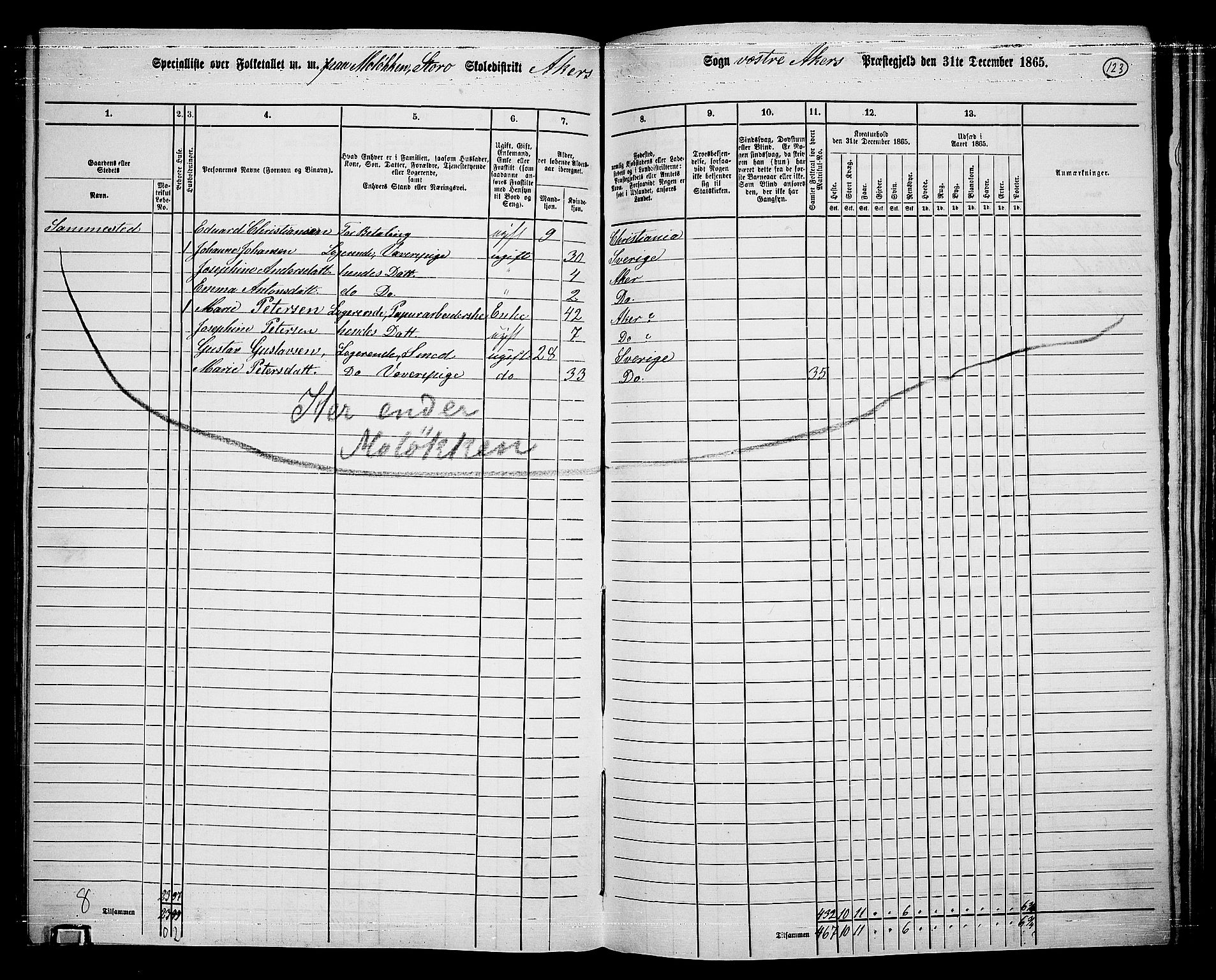 RA, 1865 census for Vestre Aker, 1865, p. 291