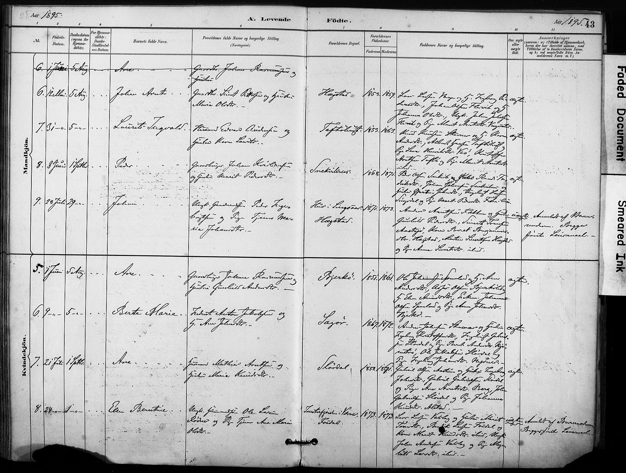 Ministerialprotokoller, klokkerbøker og fødselsregistre - Sør-Trøndelag, SAT/A-1456/633/L0518: Parish register (official) no. 633A01, 1884-1906, p. 43