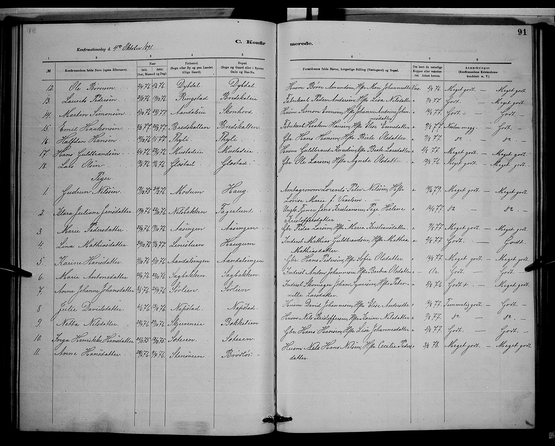 Vardal prestekontor, SAH/PREST-100/H/Ha/Hab/L0008: Parish register (copy) no. 8, 1881-1898, p. 91