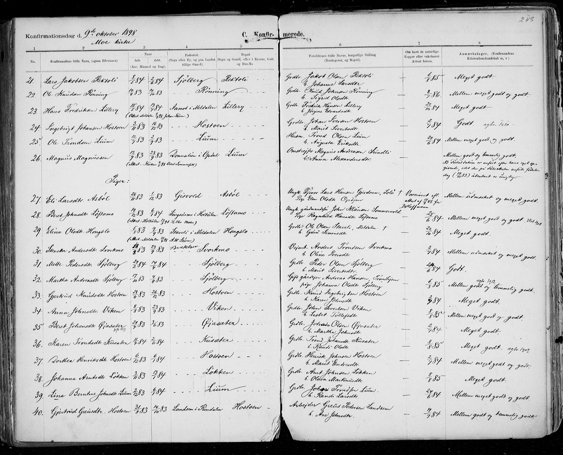 Ministerialprotokoller, klokkerbøker og fødselsregistre - Sør-Trøndelag, SAT/A-1456/668/L0811: Parish register (official) no. 668A11, 1894-1913, p. 248