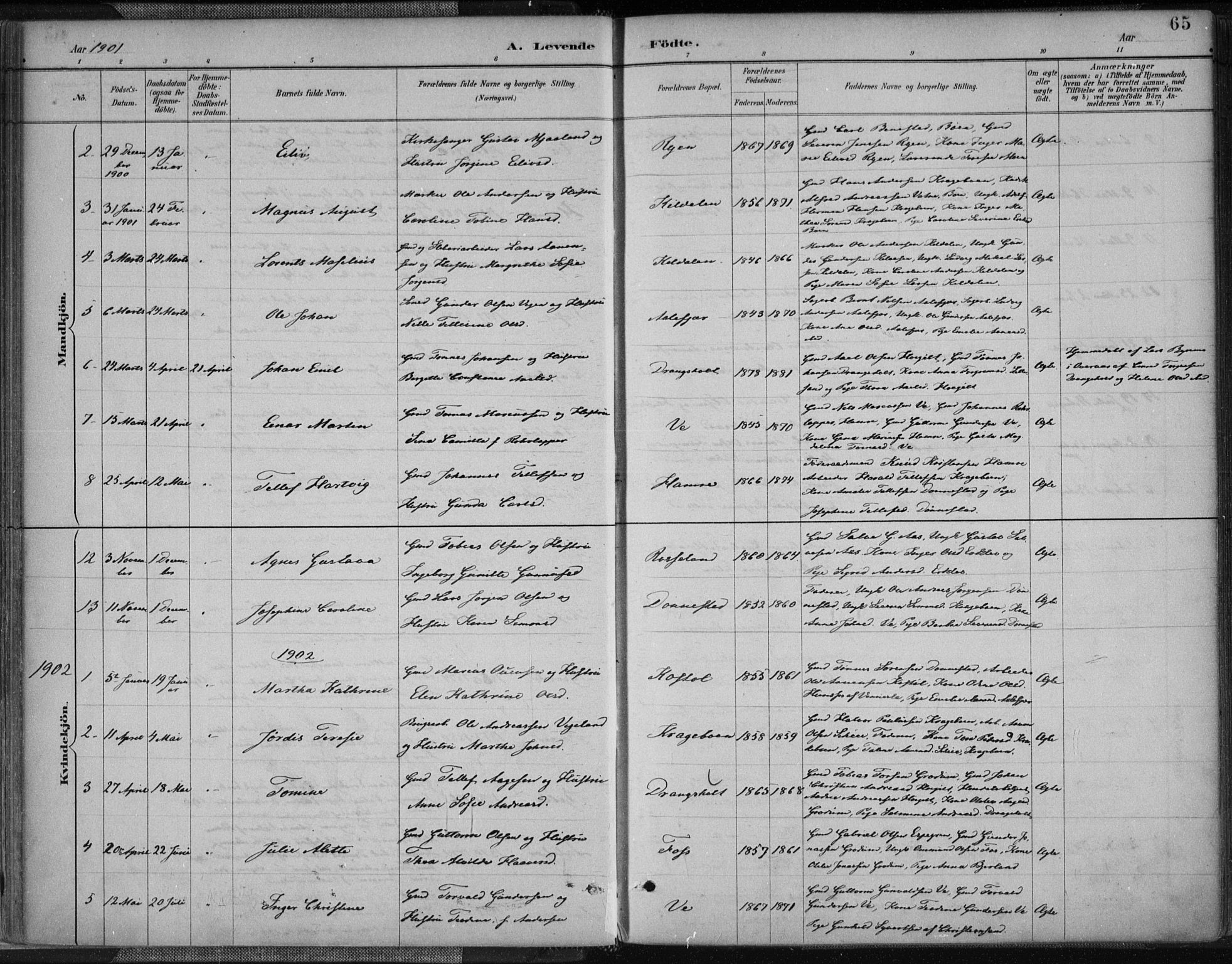 Tveit sokneprestkontor, SAK/1111-0043/F/Fa/L0007: Parish register (official) no. A 7, 1887-1908, p. 65