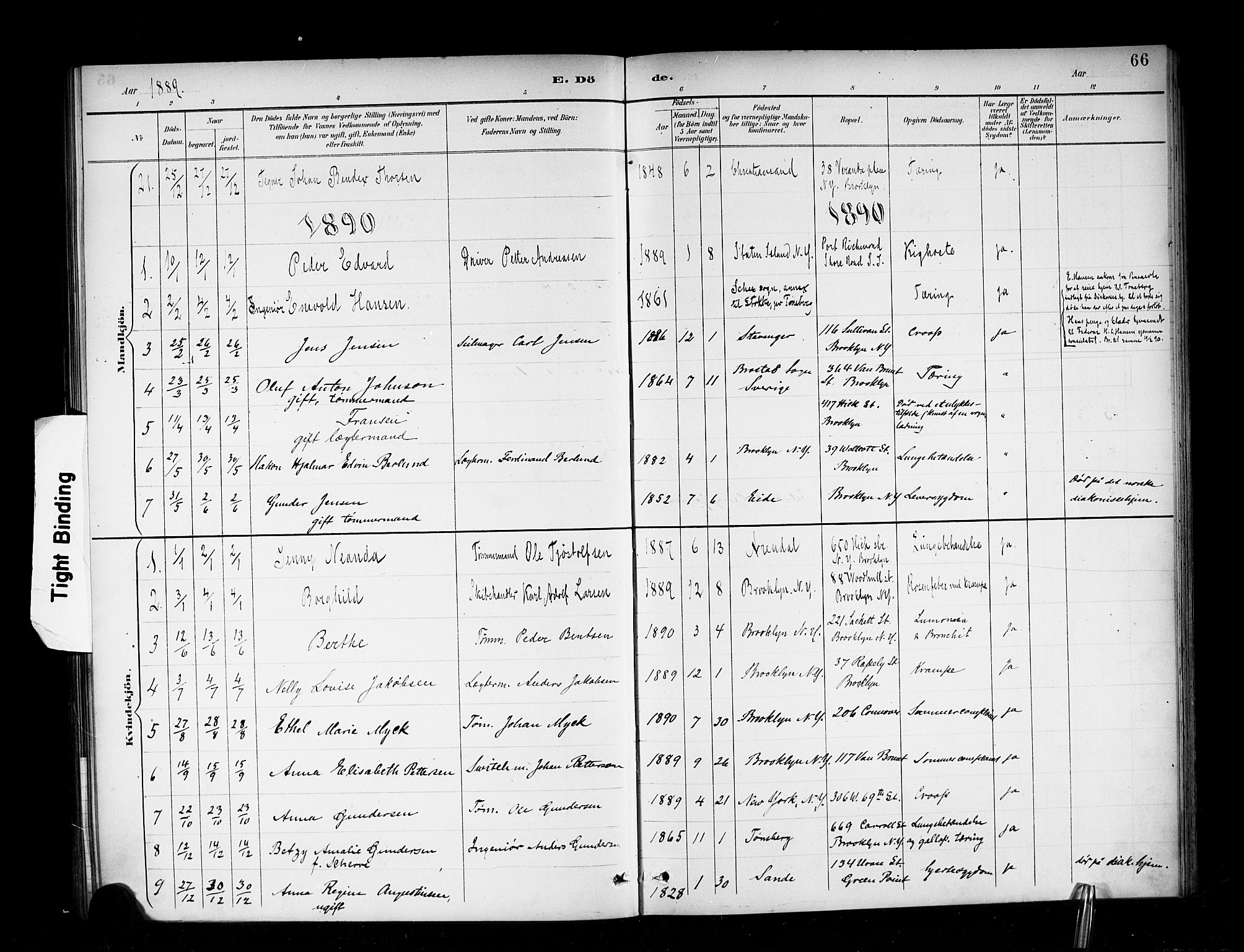 Den norske sjømannsmisjon i utlandet/New York, AV/SAB-SAB/PA-0110/H/Ha/L0003: Parish register (official) no. A 3, 1888-1893, p. 66