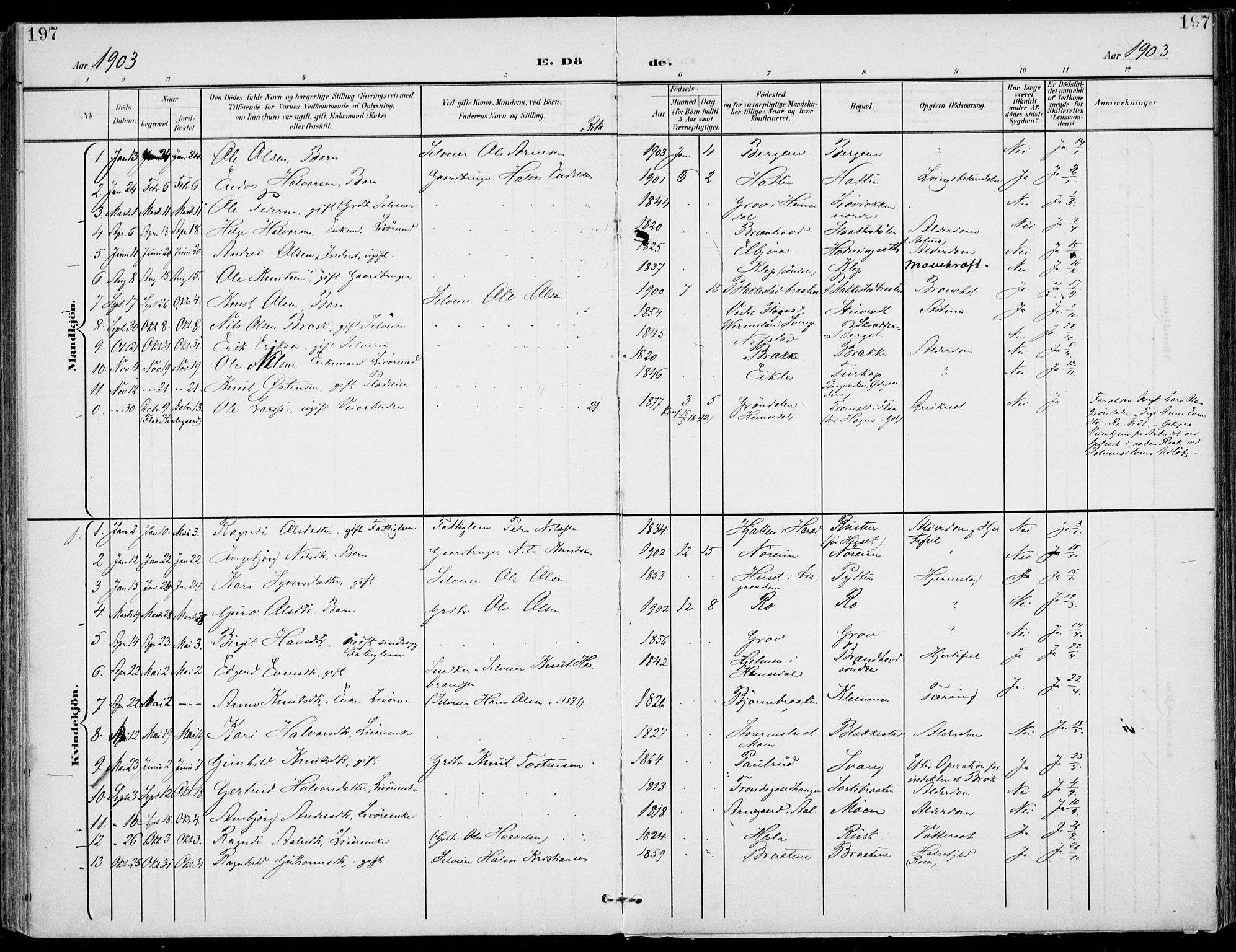 Gol kirkebøker, SAKO/A-226/F/Fa/L0006: Parish register (official) no. I 6, 1901-1918, p. 197