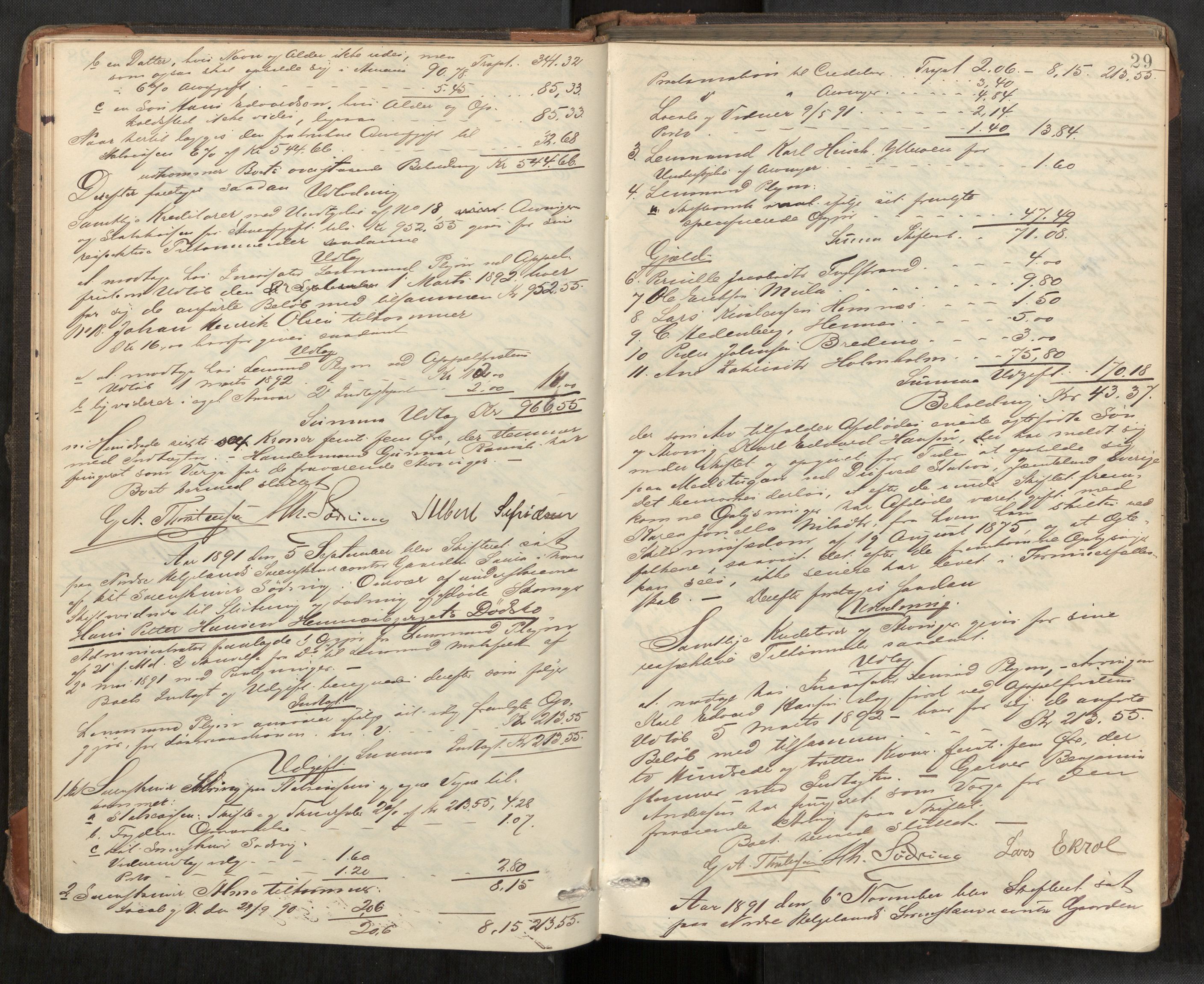 Rana sorenskriveri , AV/SAT-A-1108/1/3/3A/L0006: Skifteslutningsprotokoll, 1891-1896, p. 29