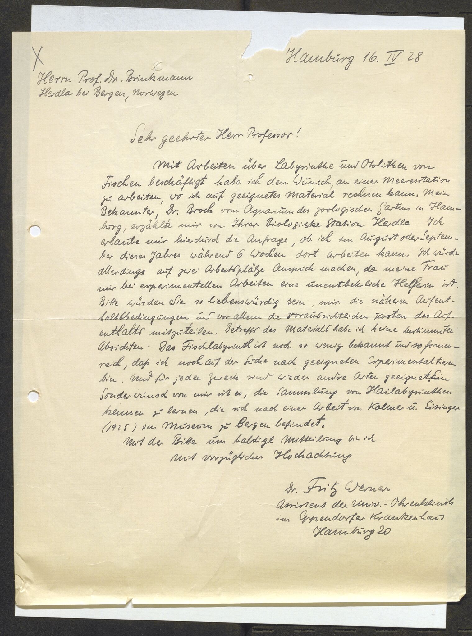 Bergens Museum, AV/SAB-A-17301/13/D/L0002: Korrespondanse , 1928-1940, p. 305
