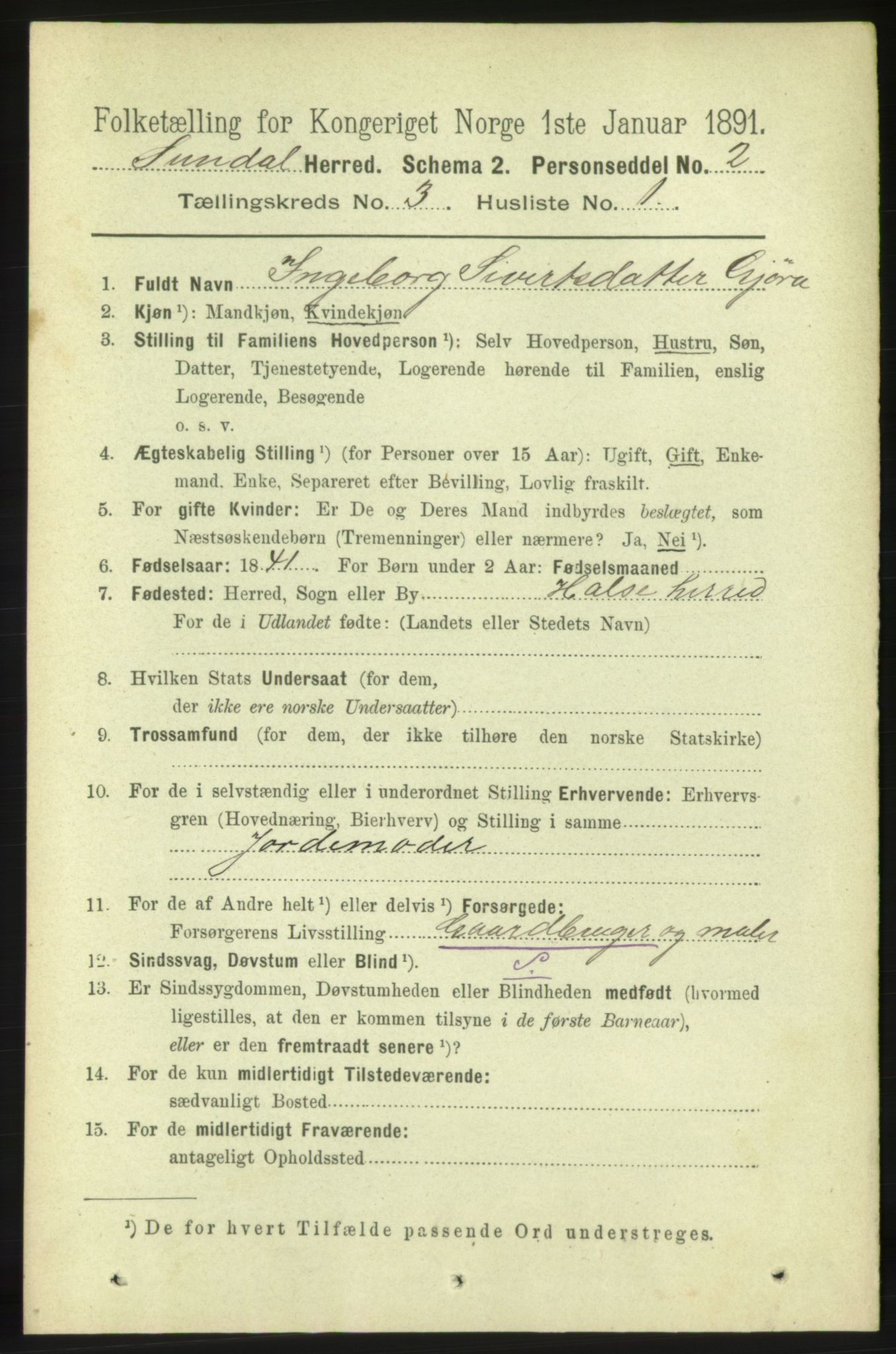 RA, 1891 census for 1563 Sunndal, 1891, p. 647