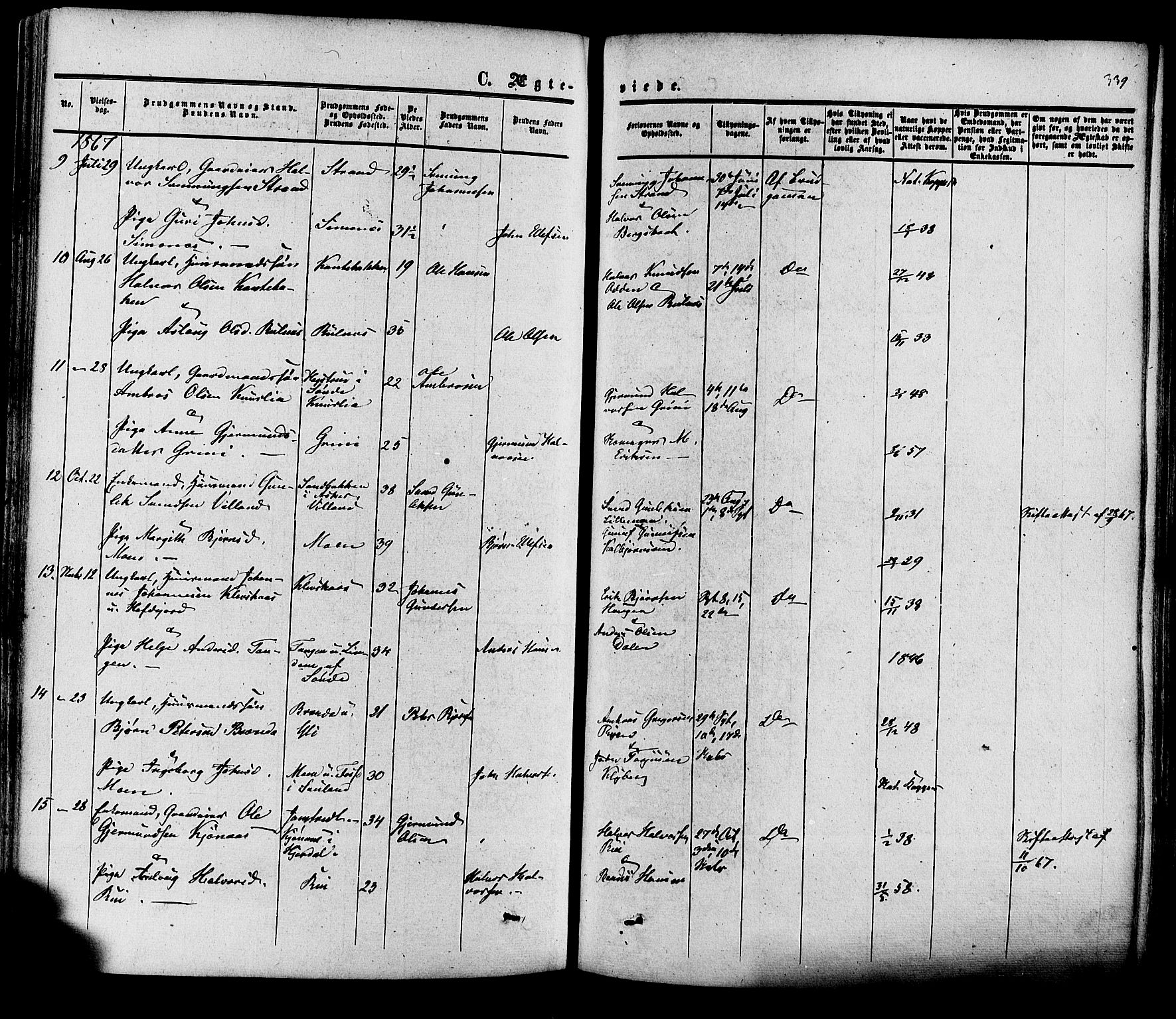 Heddal kirkebøker, SAKO/A-268/F/Fa/L0007: Parish register (official) no. I 7, 1855-1877, p. 339