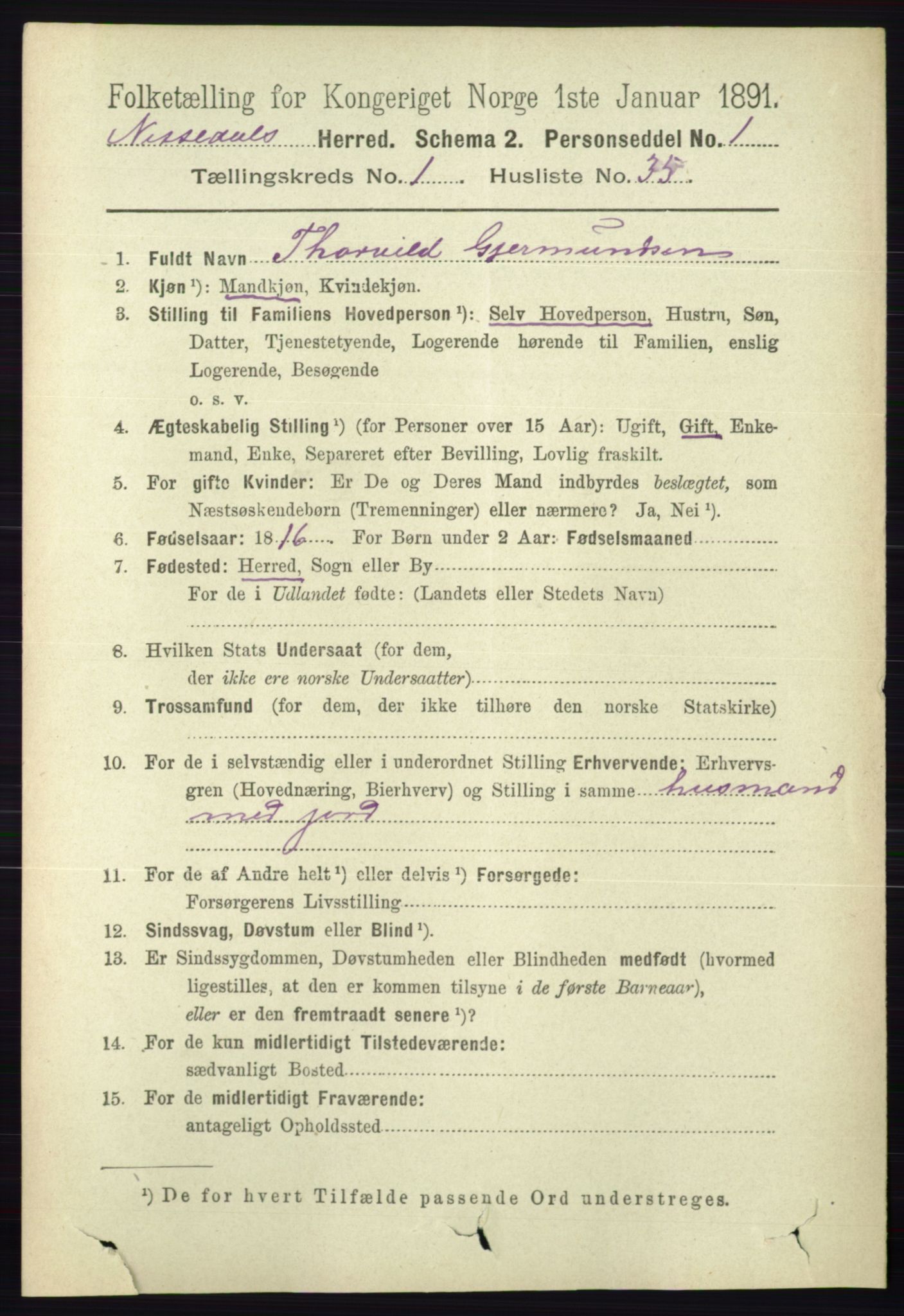 RA, 1891 census for 0830 Nissedal, 1891, p. 271