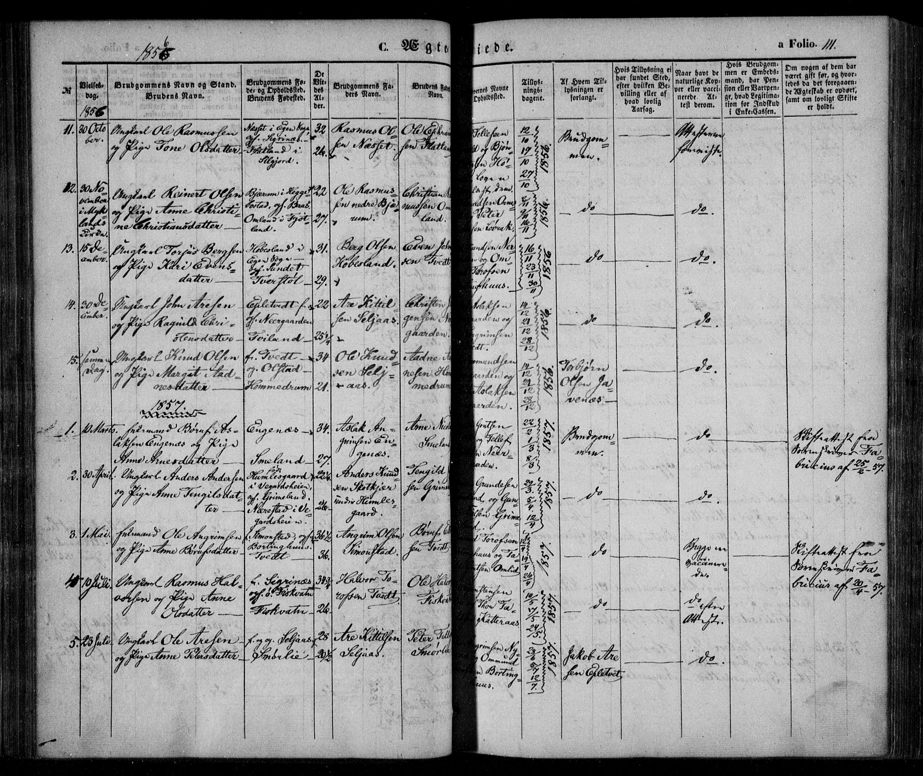 Åmli sokneprestkontor, AV/SAK-1111-0050/F/Fa/Fac/L0008: Parish register (official) no. A 8, 1852-1869, p. 111