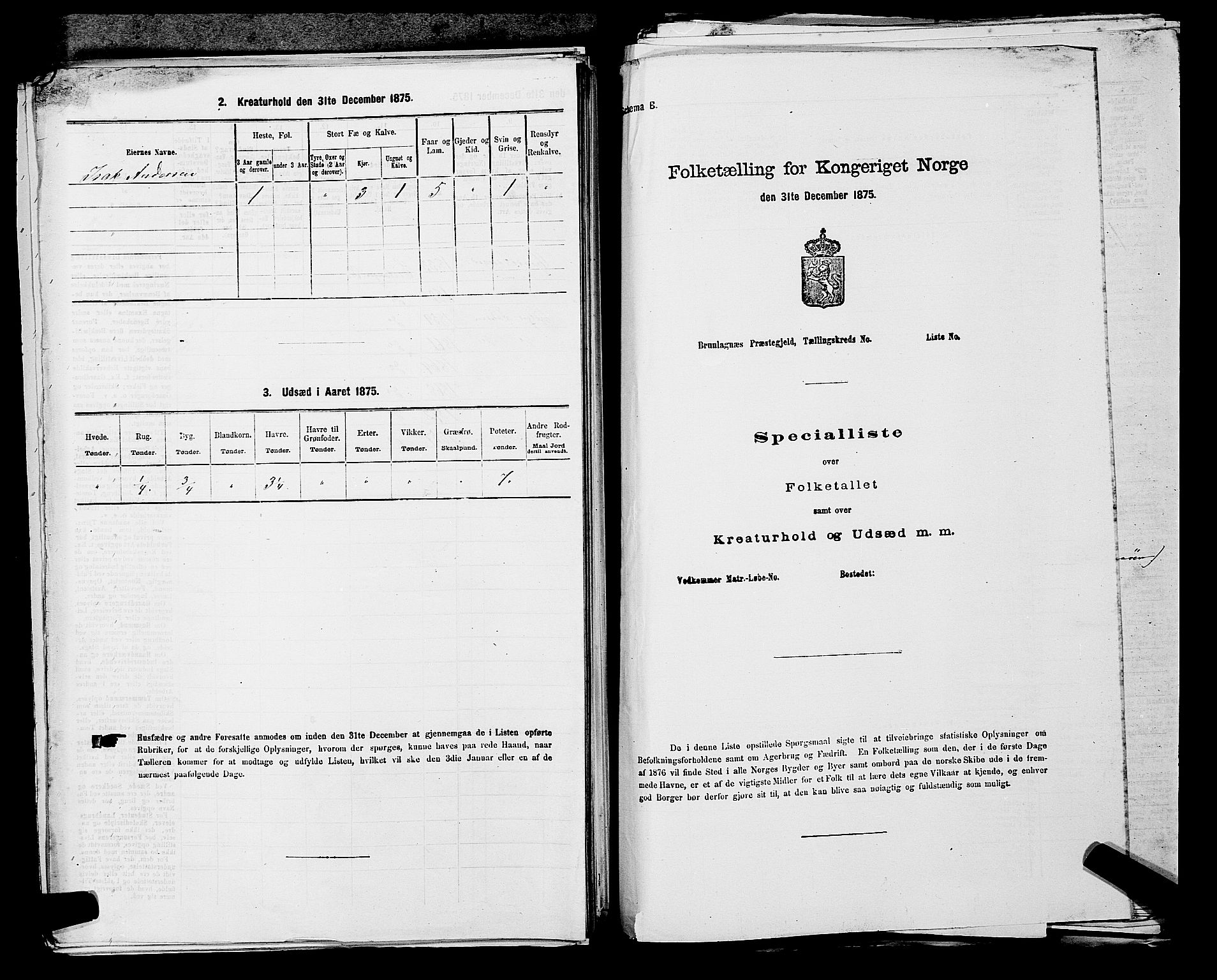 SAKO, 1875 census for 0813P Eidanger, 1875, p. 906