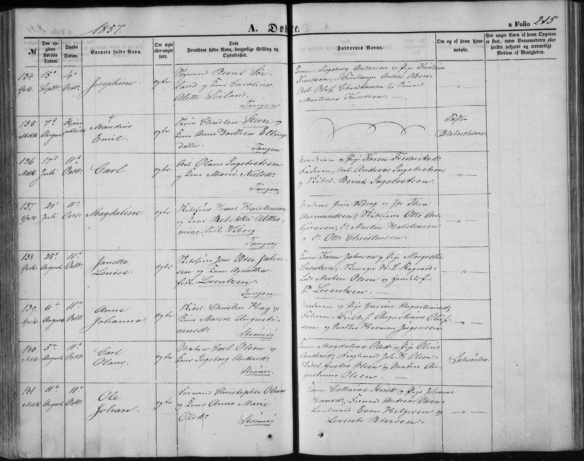 Strømsø kirkebøker, AV/SAKO-A-246/F/Fa/L0014: Parish register (official) no. I 14, 1848-1858, p. 215