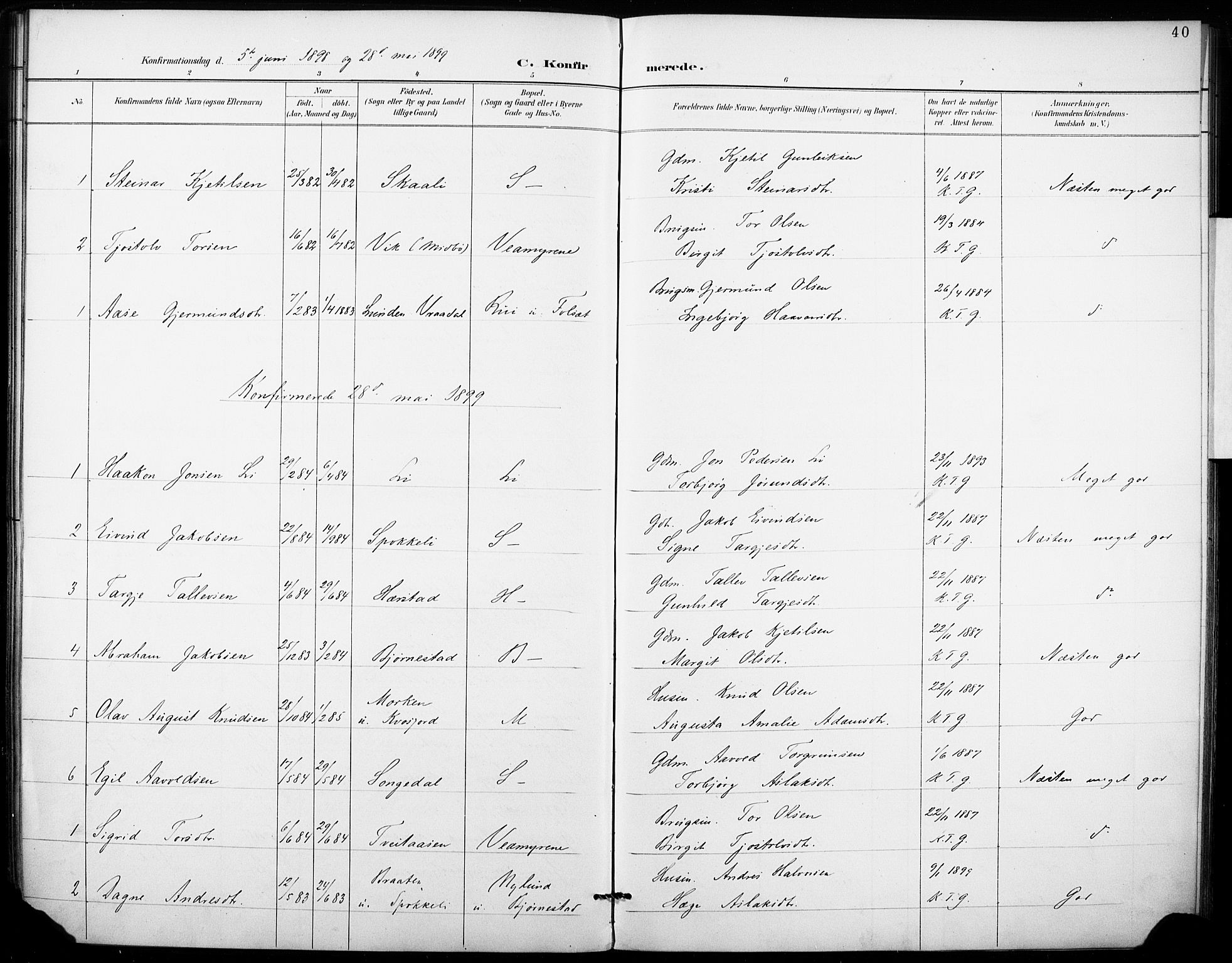 Fyresdal kirkebøker, SAKO/A-263/F/Fb/L0003: Parish register (official) no. II 3, 1887-1903, p. 40