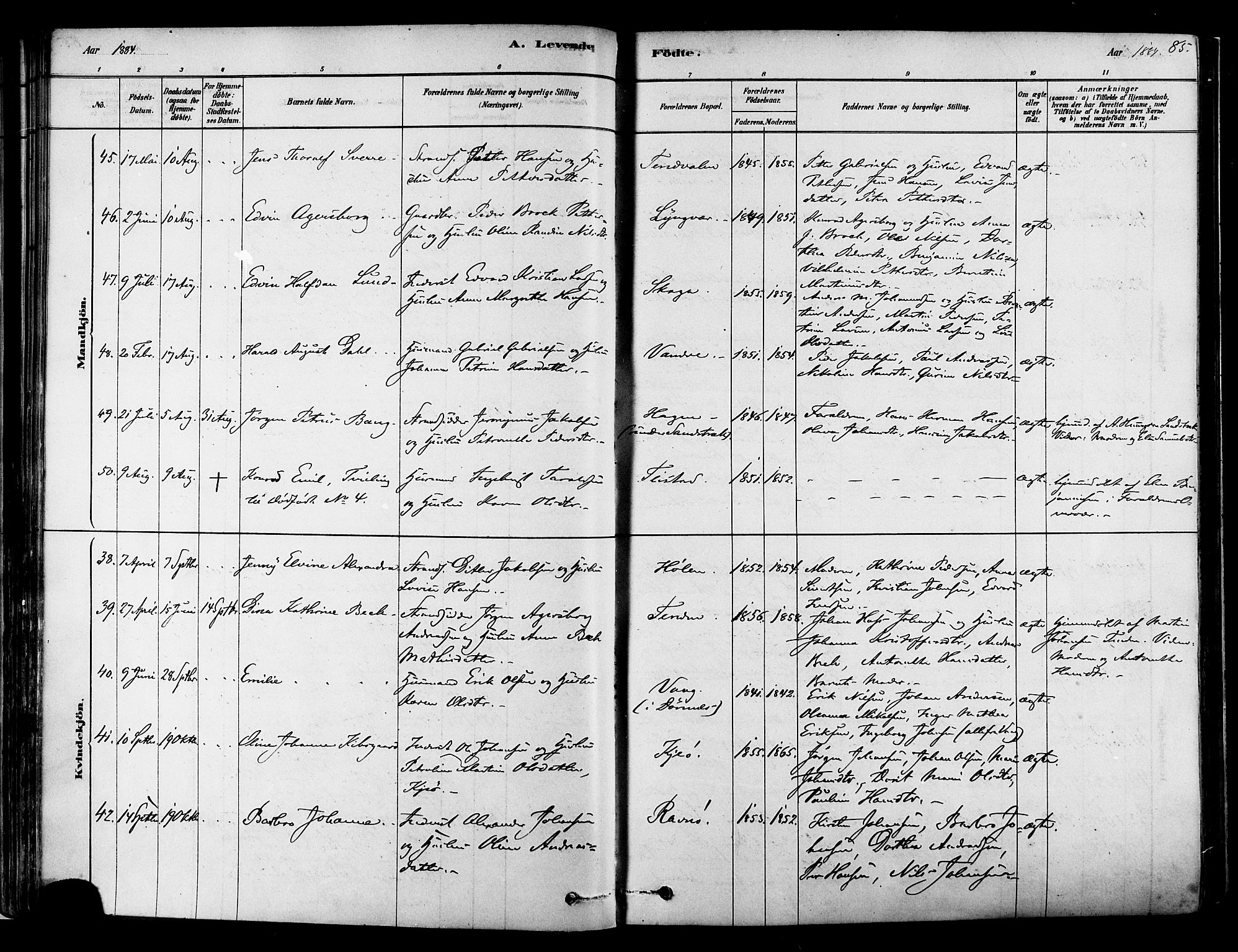 Ministerialprotokoller, klokkerbøker og fødselsregistre - Nordland, SAT/A-1459/834/L0507: Parish register (official) no. 834A05, 1878-1892, p. 85