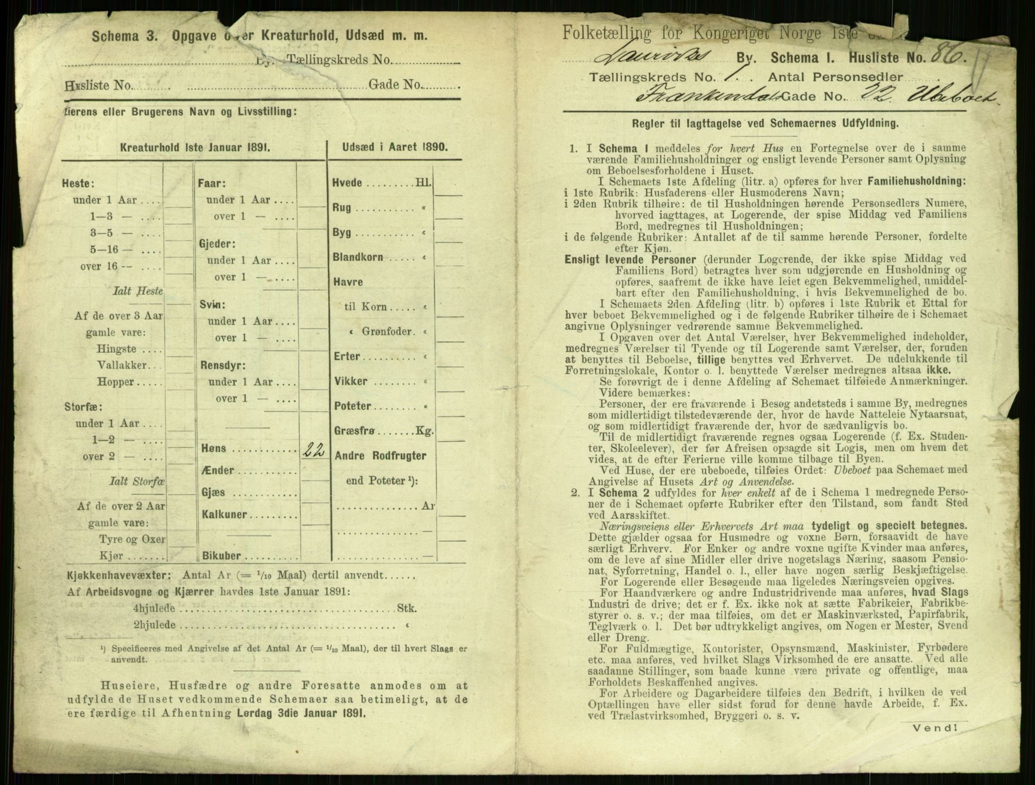 RA, 1891 census for 0707 Larvik, 1891, p. 215