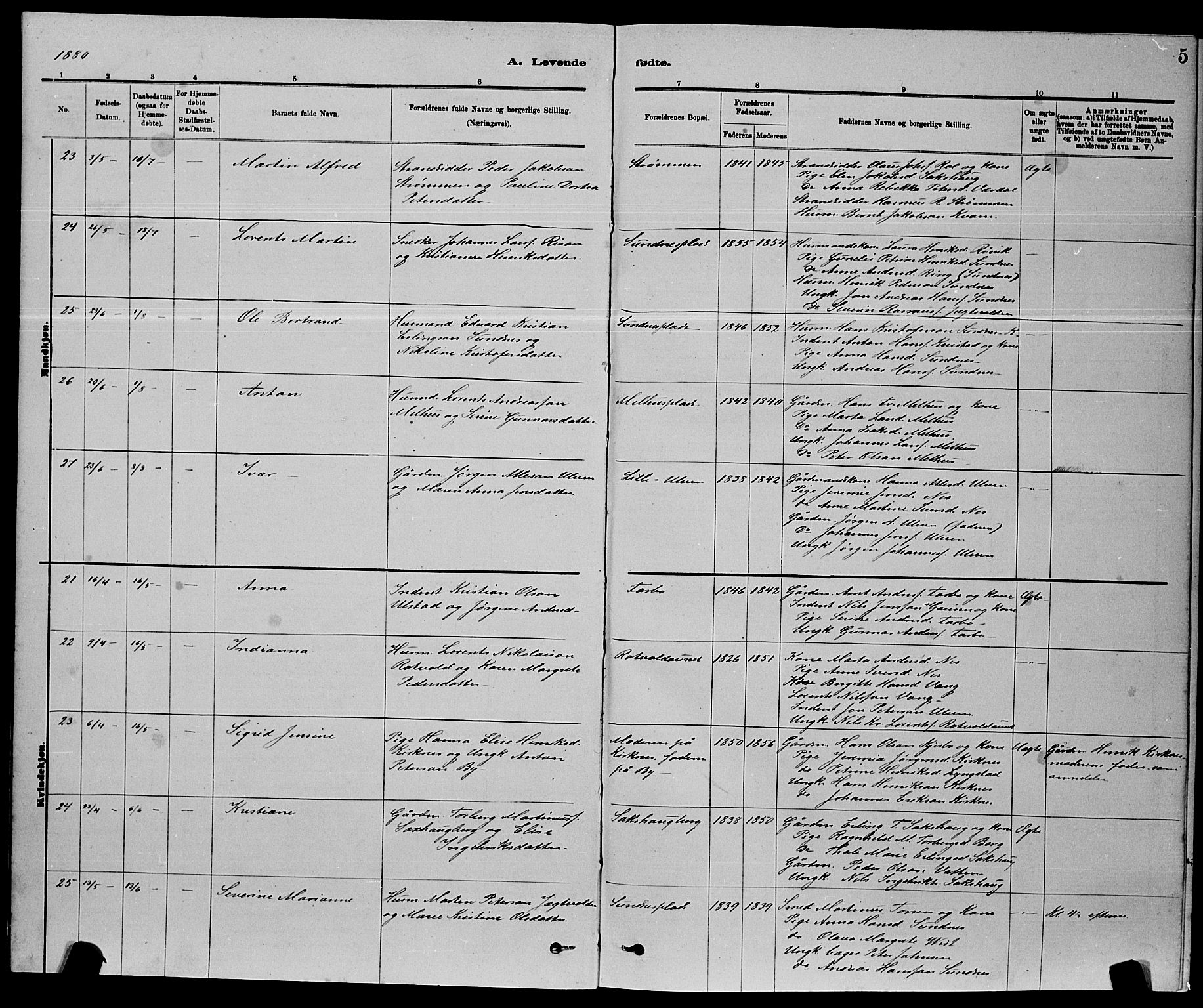 Ministerialprotokoller, klokkerbøker og fødselsregistre - Nord-Trøndelag, AV/SAT-A-1458/730/L0301: Parish register (copy) no. 730C04, 1880-1897, p. 5