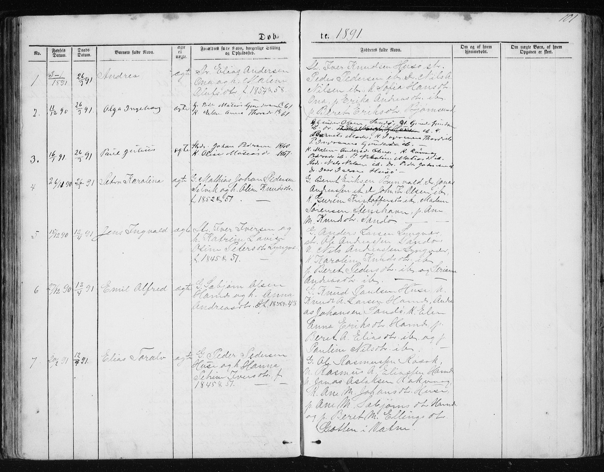 Ministerialprotokoller, klokkerbøker og fødselsregistre - Møre og Romsdal, AV/SAT-A-1454/561/L0732: Parish register (copy) no. 561C02, 1867-1900, p. 101