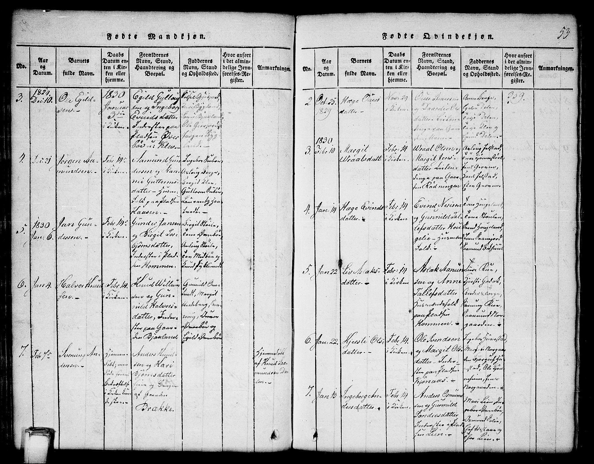 Kviteseid kirkebøker, SAKO/A-276/G/Gb/L0001: Parish register (copy) no. II 1, 1815-1842, p. 53