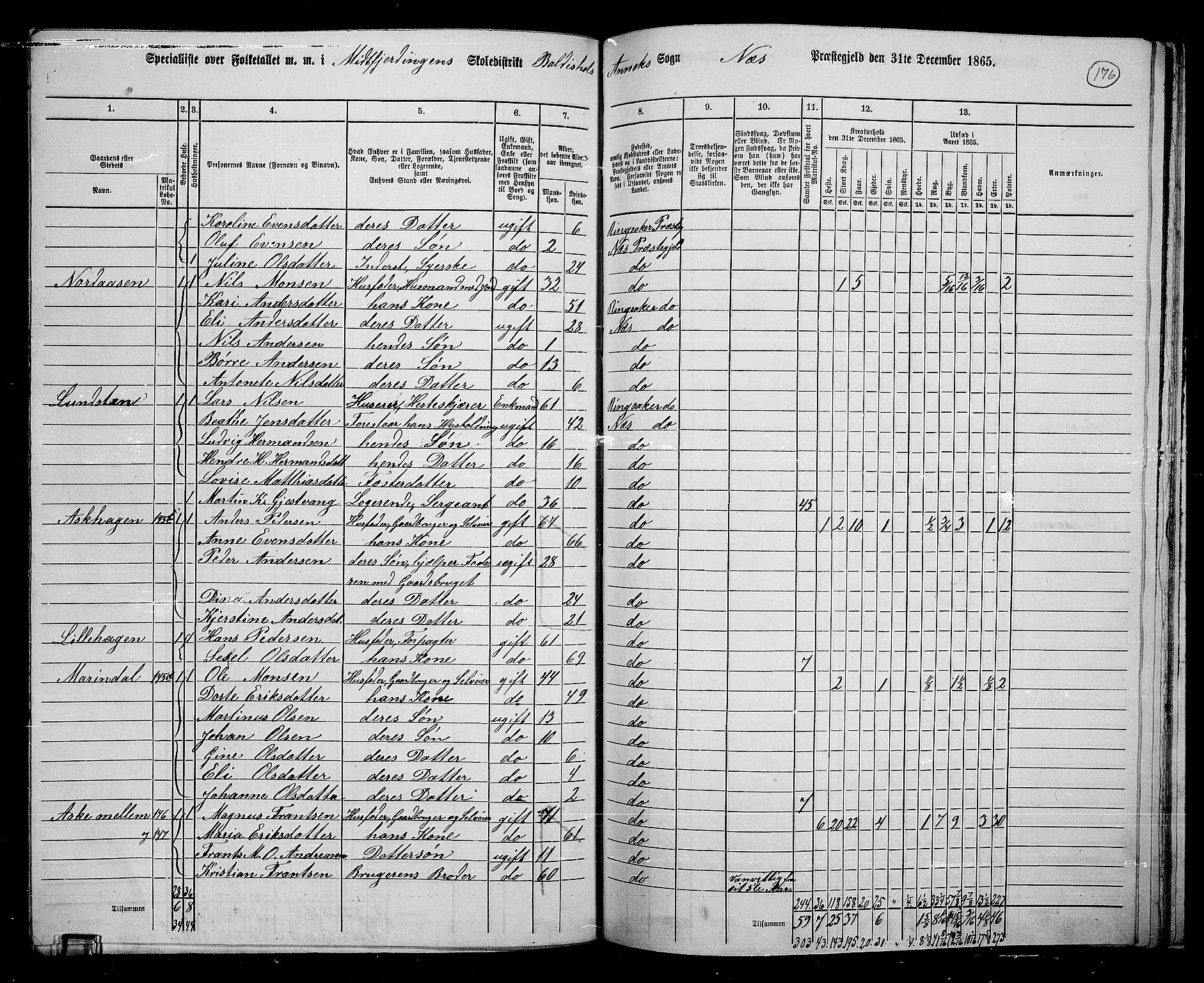 RA, 1865 census for Nes, 1865, p. 152