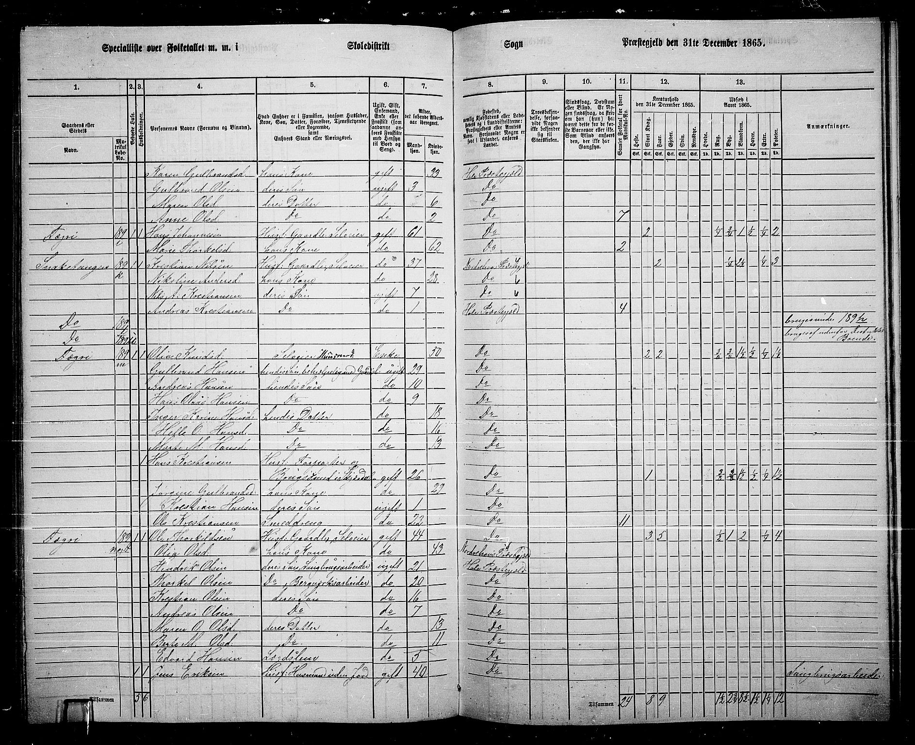 RA, 1865 census for Hole, 1865, p. 126