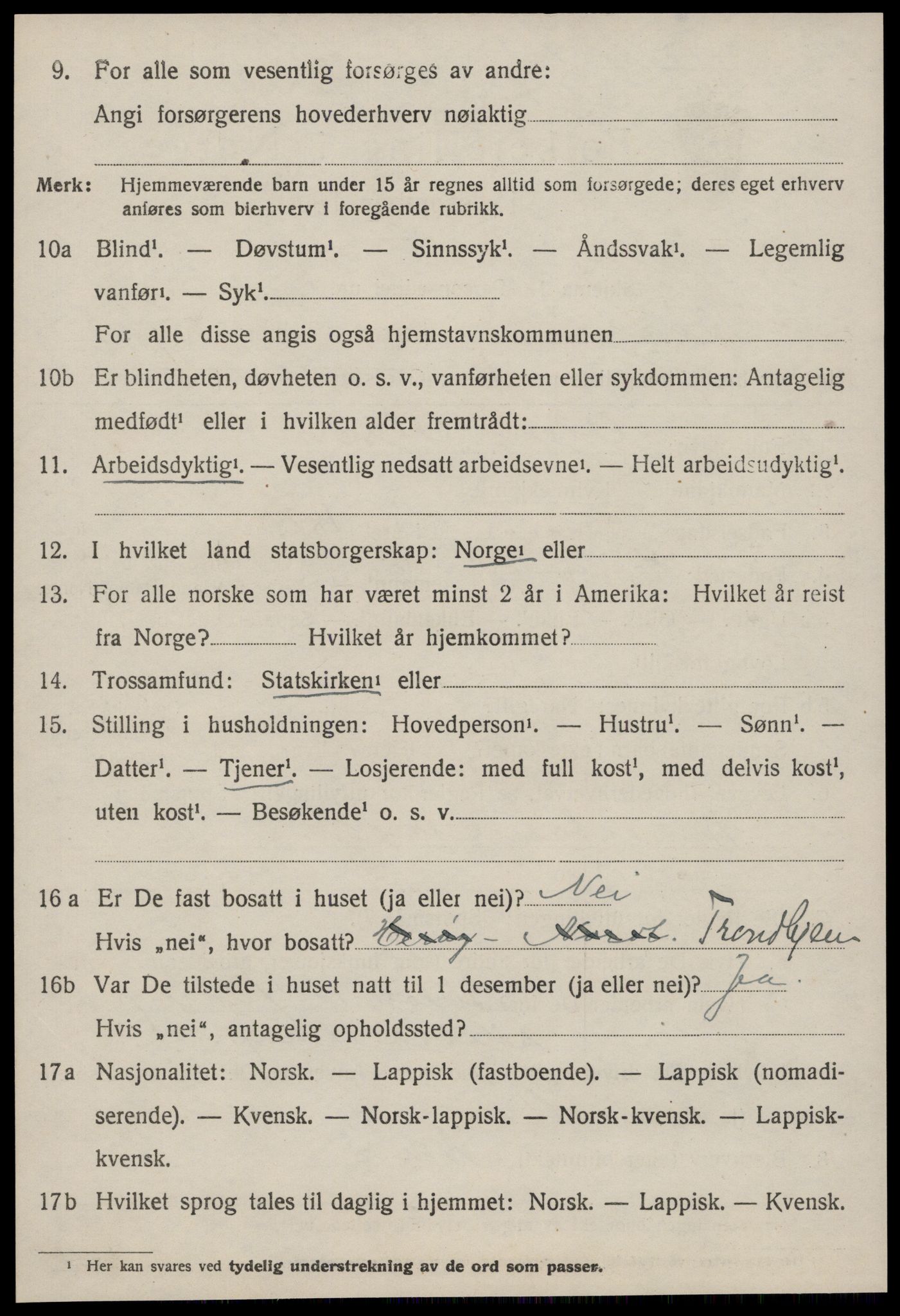 SAT, 1920 census for Børsa, 1920, p. 2526