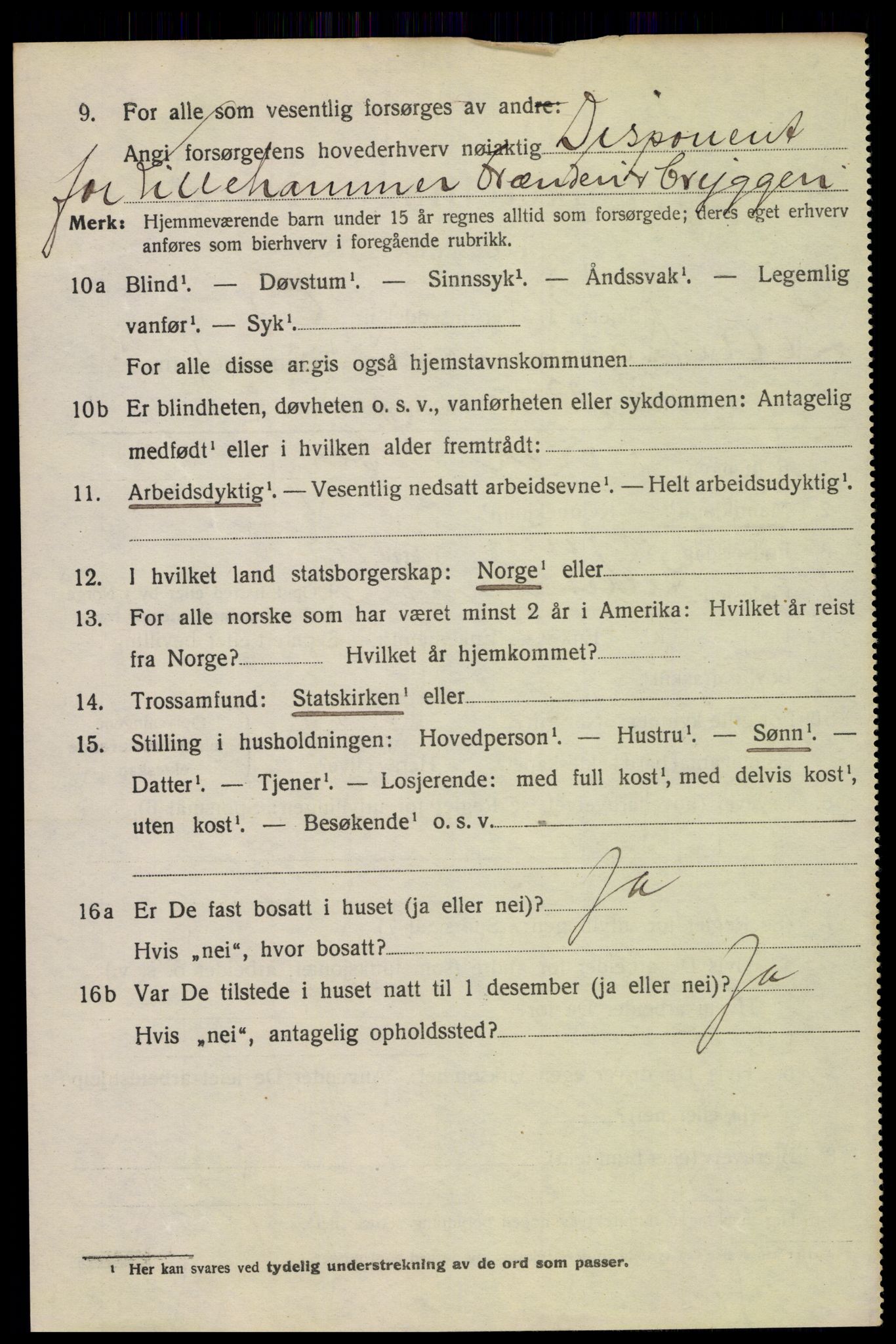 SAH, 1920 census for Lillehammer, 1920, p. 8159