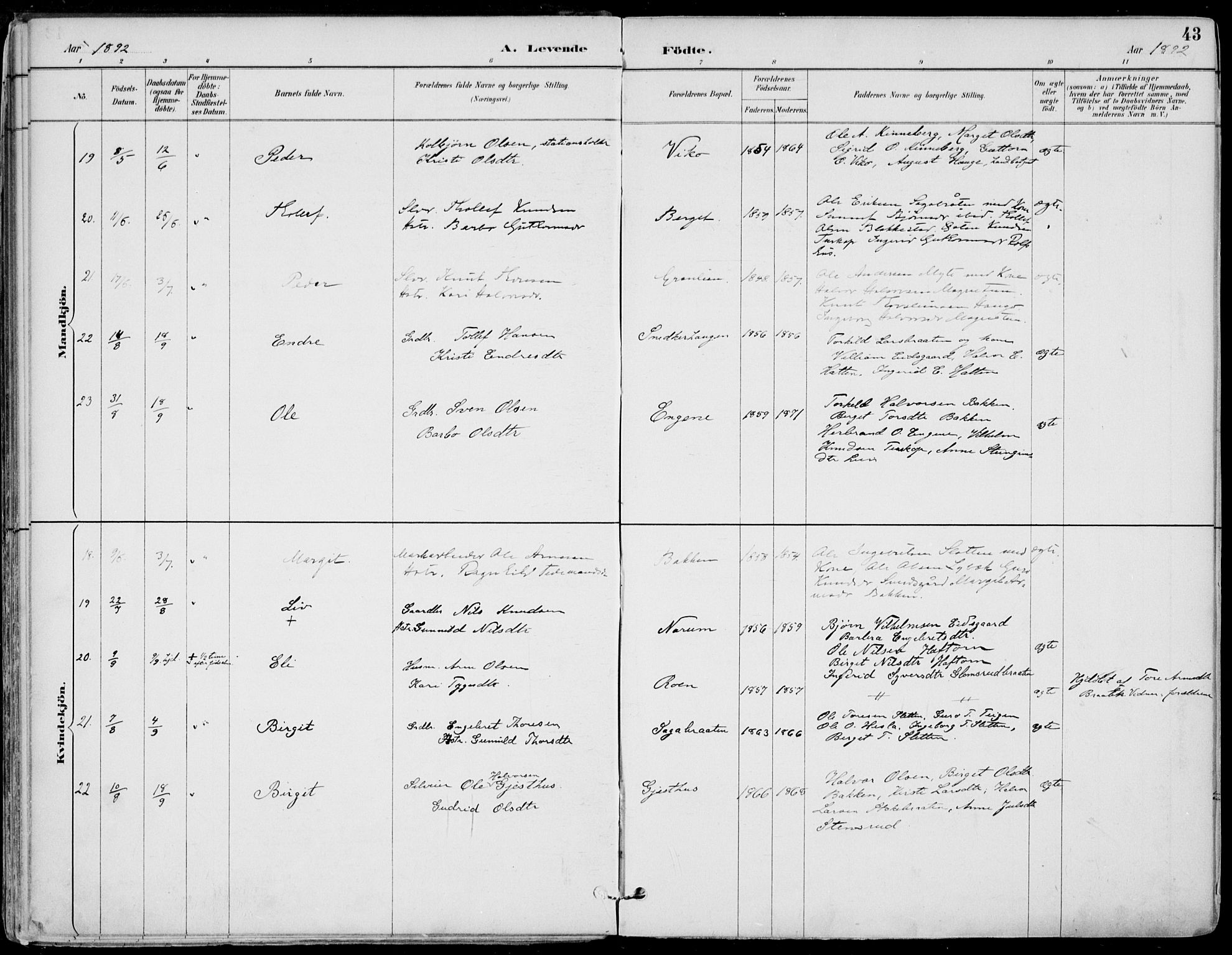 Gol kirkebøker, AV/SAKO-A-226/F/Fa/L0005: Parish register (official) no. I 5, 1887-1900, p. 43