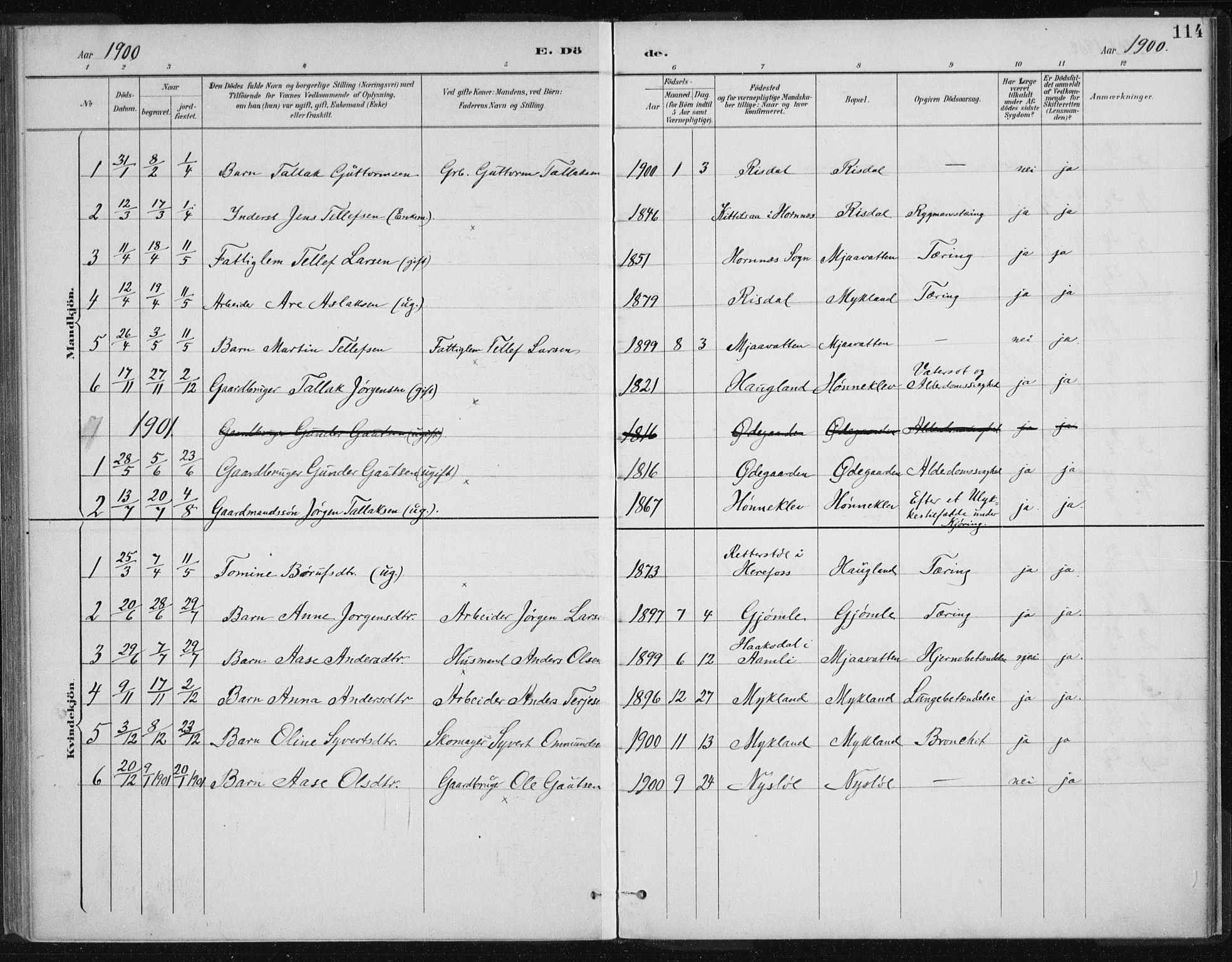 Herefoss sokneprestkontor, SAK/1111-0019/F/Fa/Fac/L0002: Parish register (official) no. A 2, 1887-1915, p. 114