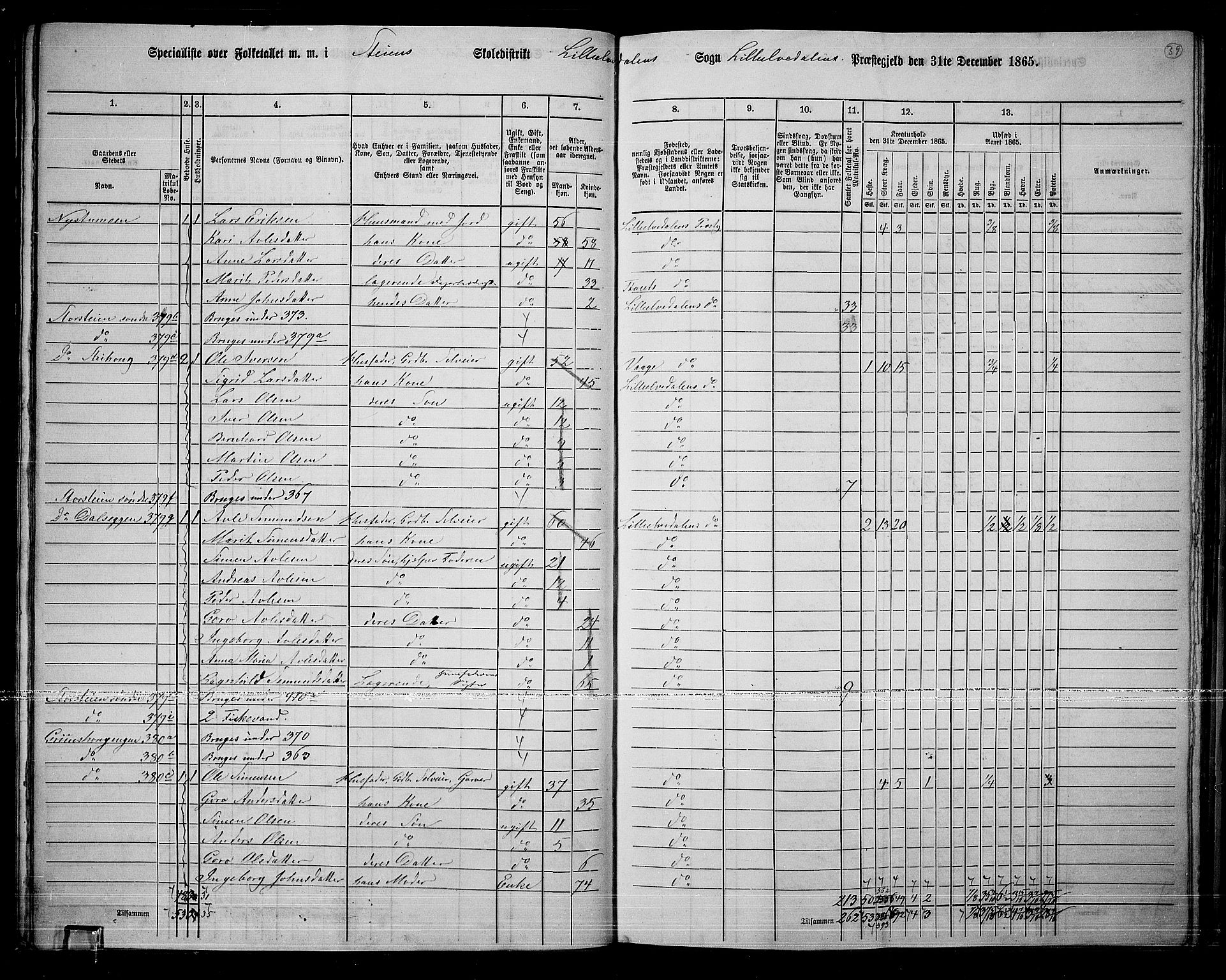 RA, 1865 census for Lille Elvedalen, 1865, p. 35