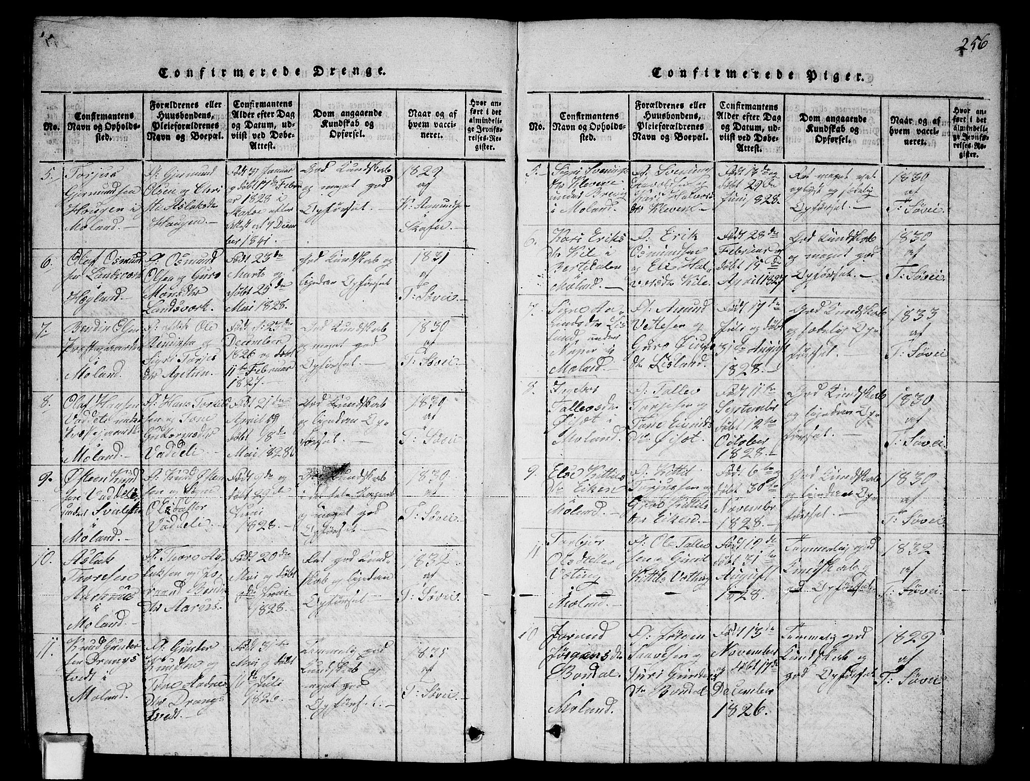 Fyresdal kirkebøker, SAKO/A-263/G/Ga/L0002: Parish register (copy) no. I 2, 1815-1857, p. 256